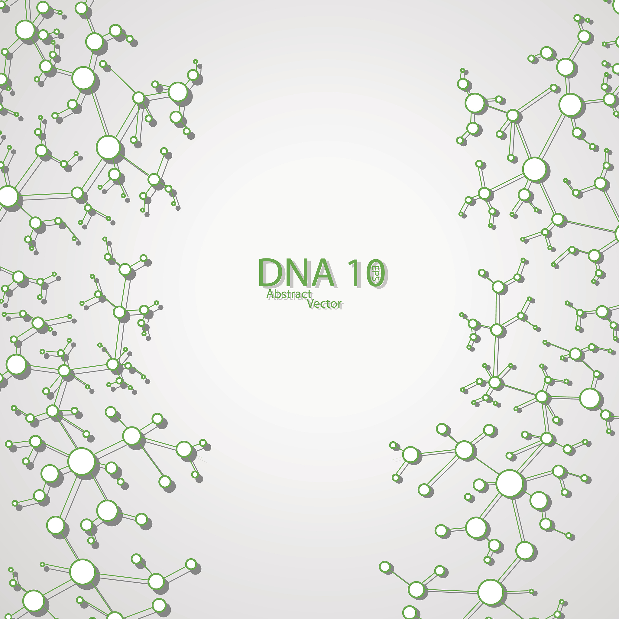 作物学中的遗传背景：定义、影响和育种应用