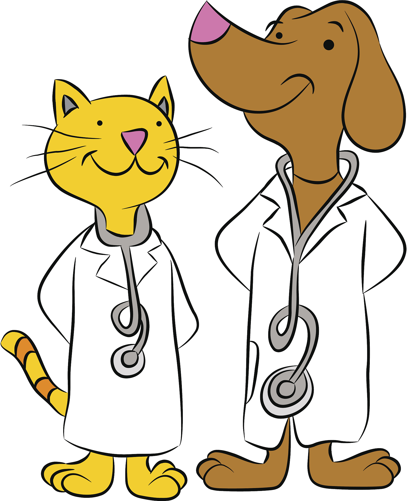 猫精神沉郁临床评分：识别猫抑郁症的工具 - 宠物健康