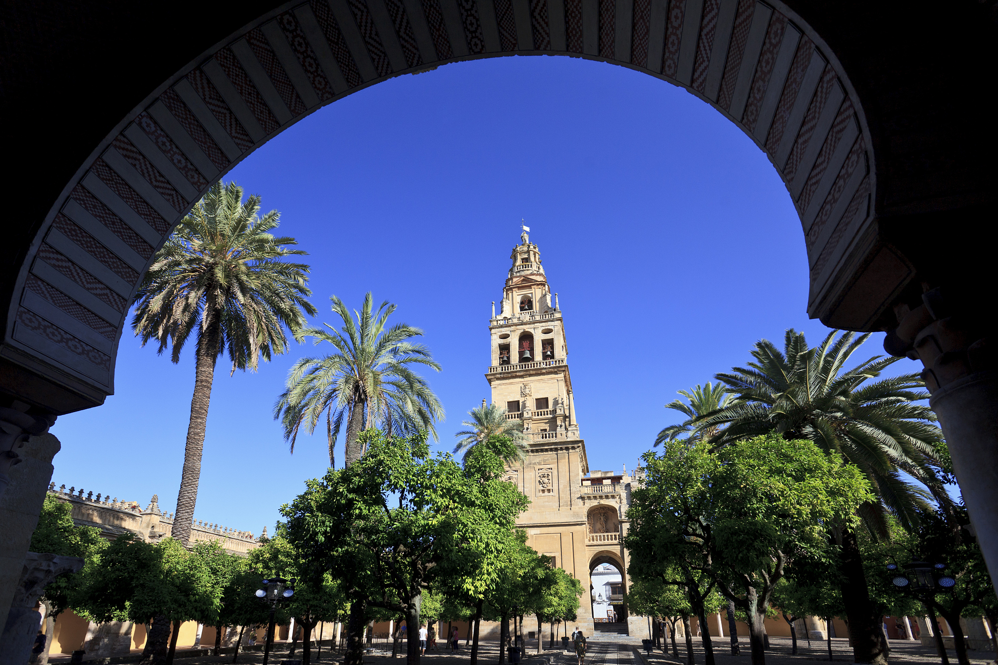 cordoba, mezquita catedral