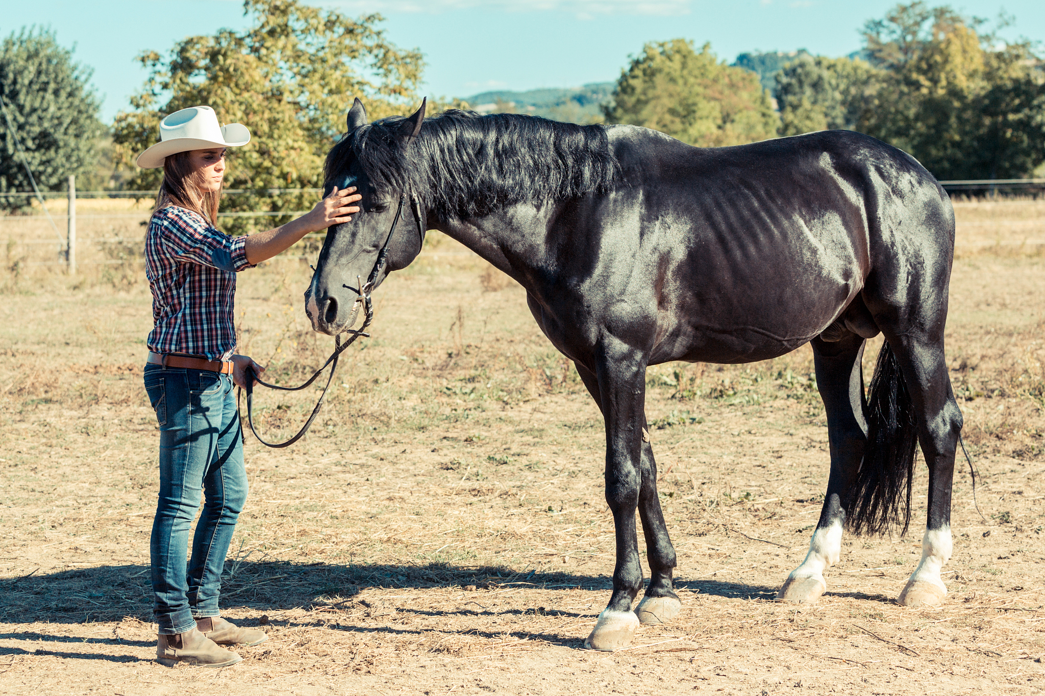 cowgirl with a black stallion horse
