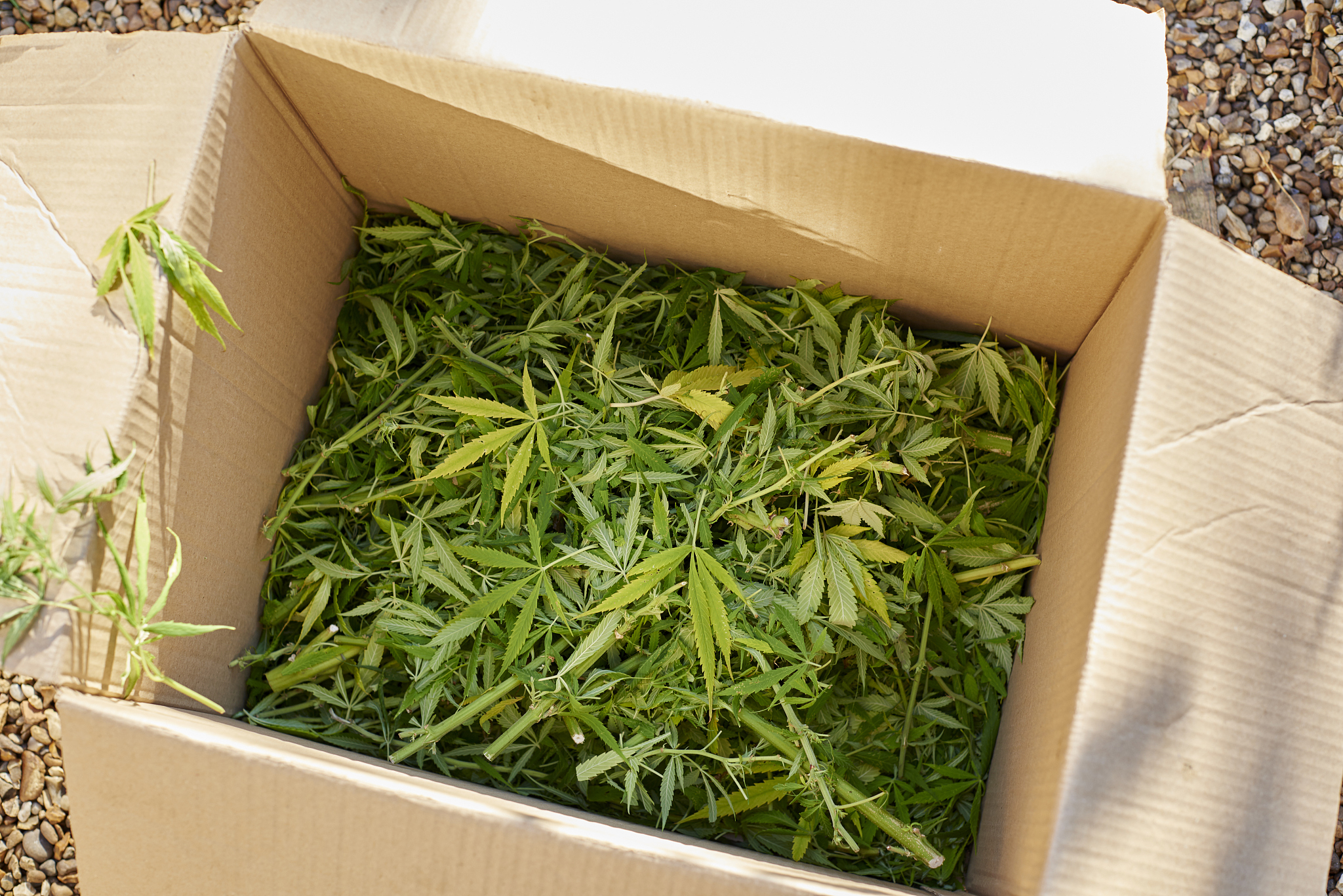 长春工业大学的生物技术专业有没有行业前景