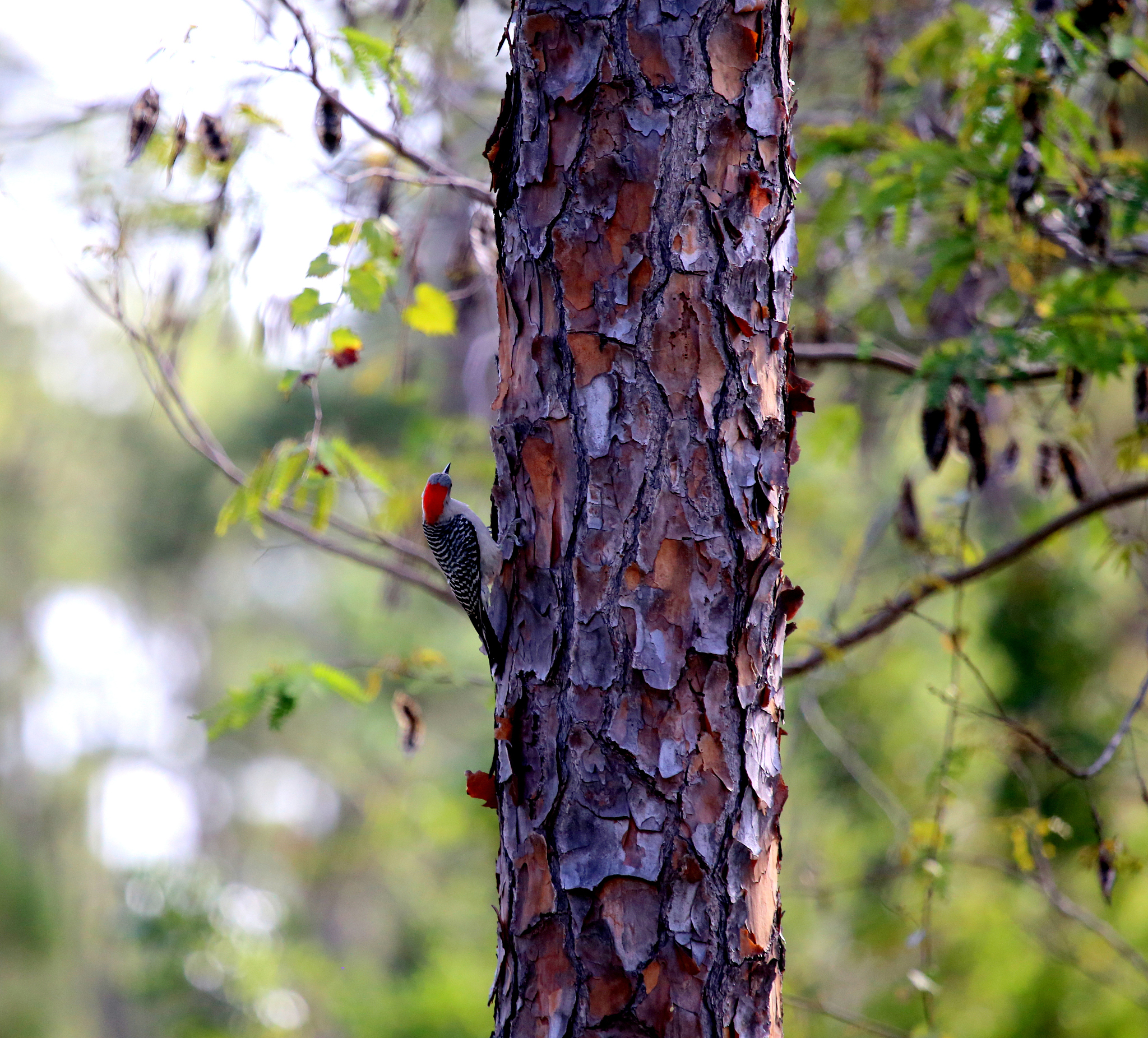 2021年山东轻工美术学校有哪些专业招生
