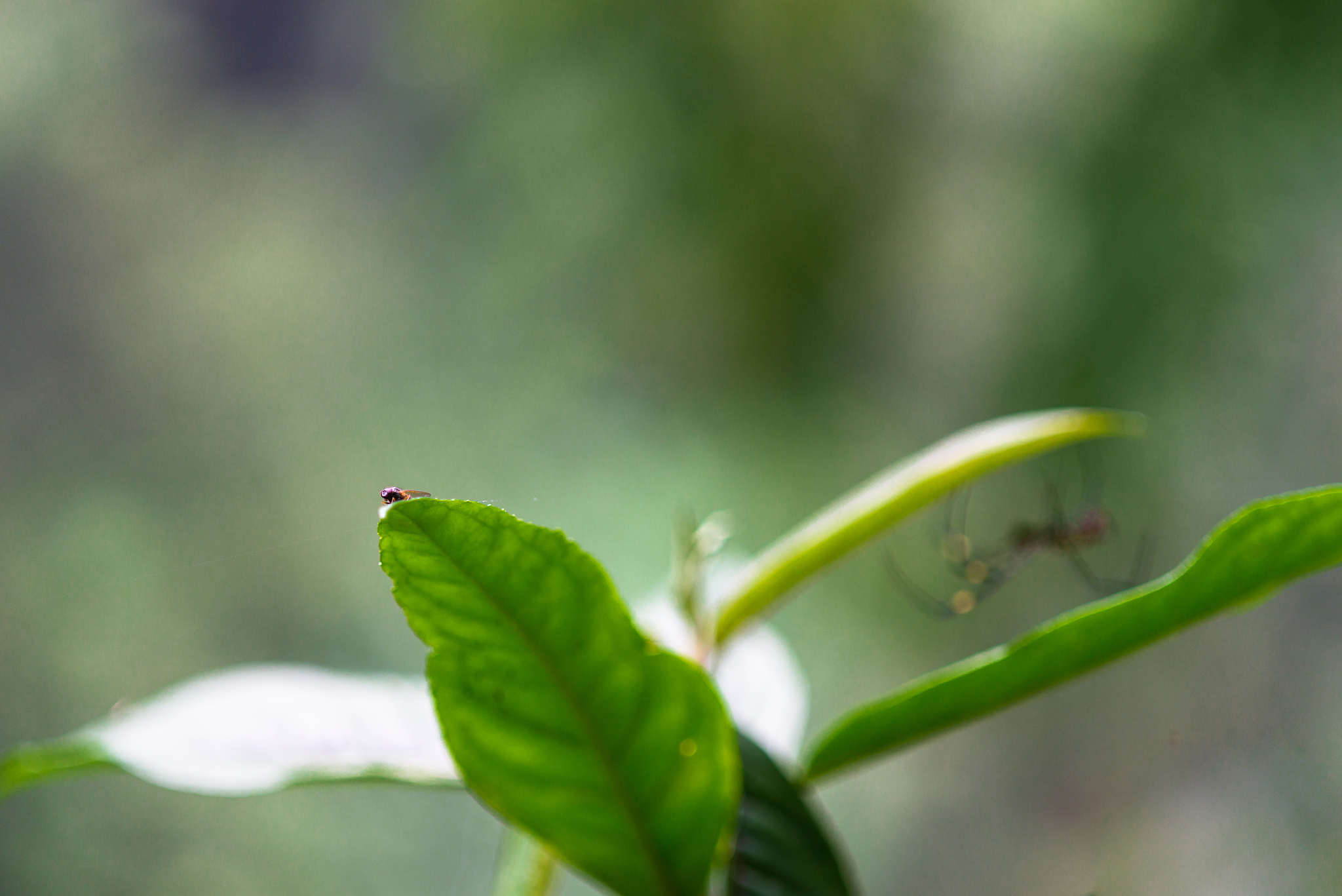 13种修仙秘境冒险冲突：从妖兽到内心恶魔