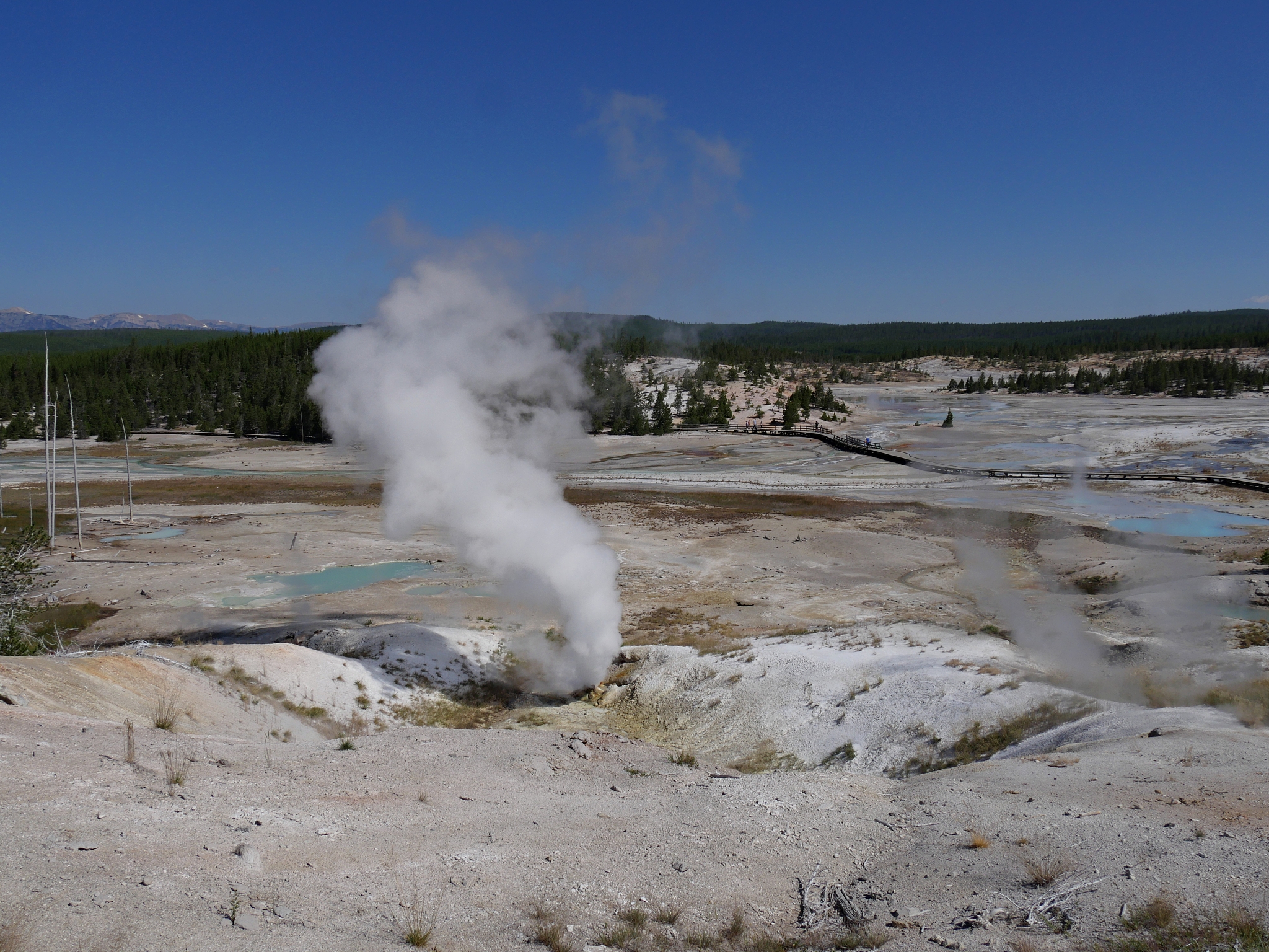 大班STEAM教案《自动进水排水器》设计意图：教学目标：教学准备教学过程：教学反思