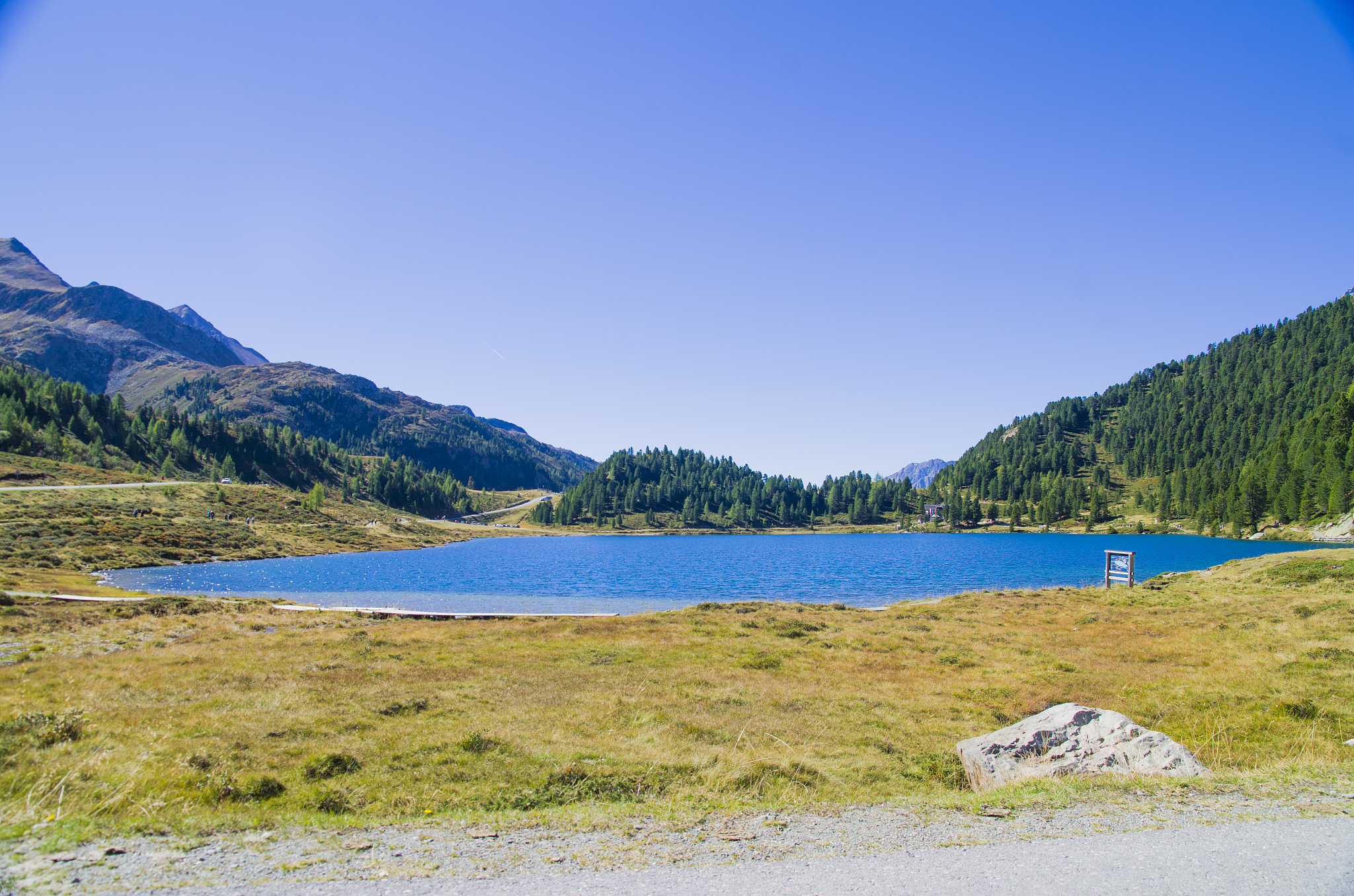 用parent、tour、sun moon lake 写一篇12句的中国1年级小学生看懂的英语句子