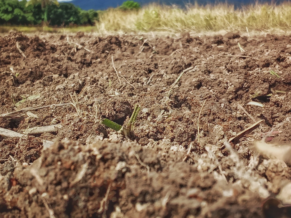陕西咸阳市土壤中水溶性盐碳酸根、重碳酸根、氯根的含量范围是多少