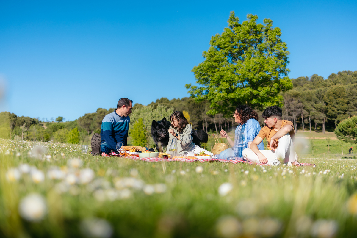 春游：拥抱春天，享受美好