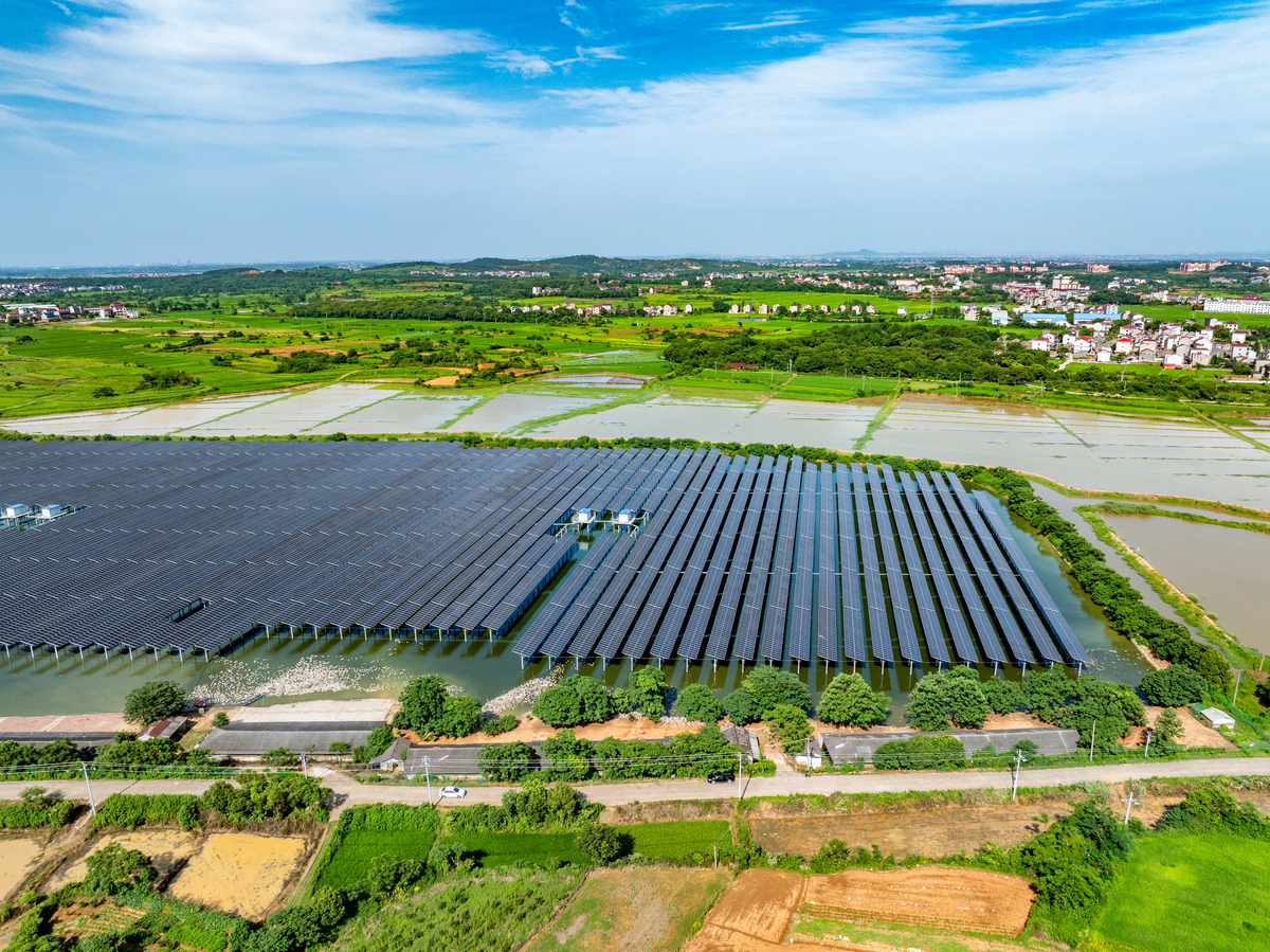 浙江省农业标准地工作具体做什么内容？如何开展？