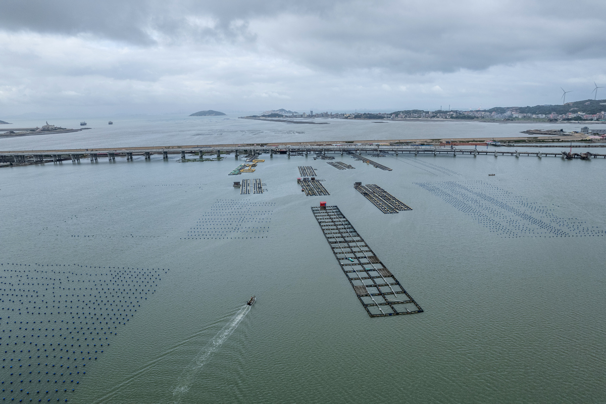 深远海养殖设施类型：网箱、笼、浮筏等
