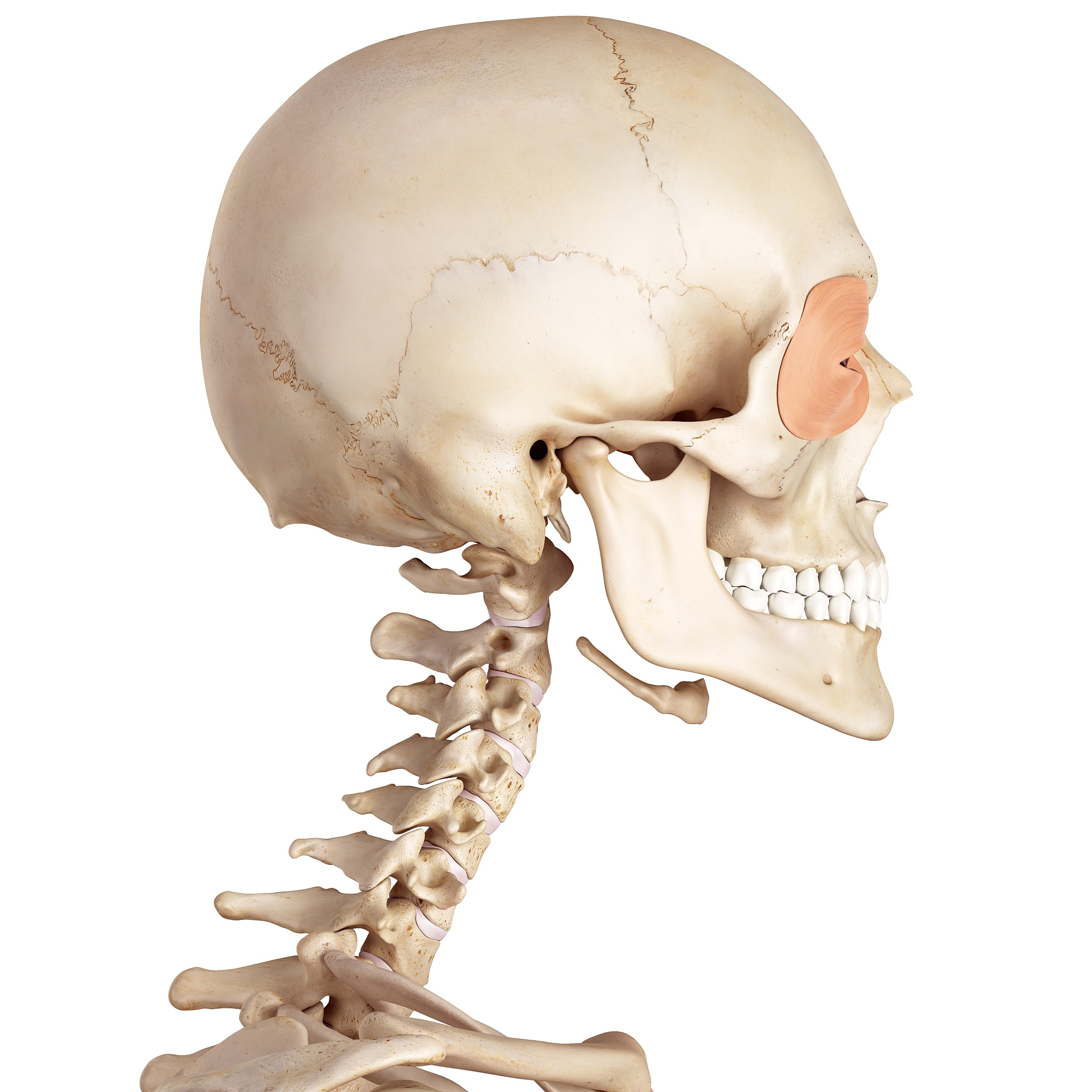 广西2022年现在中专学校学什么专业好