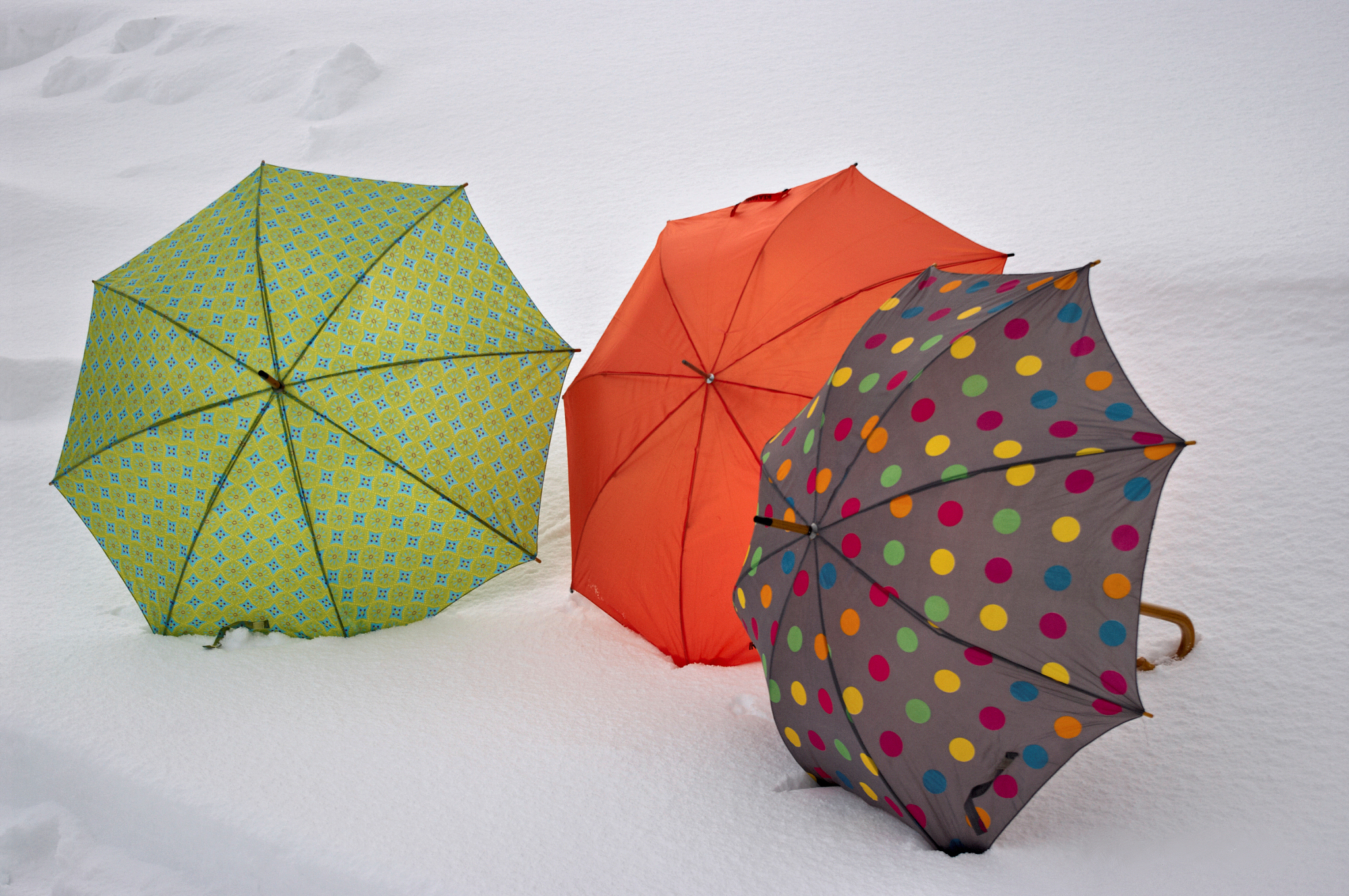 colorful umbrellas in snow