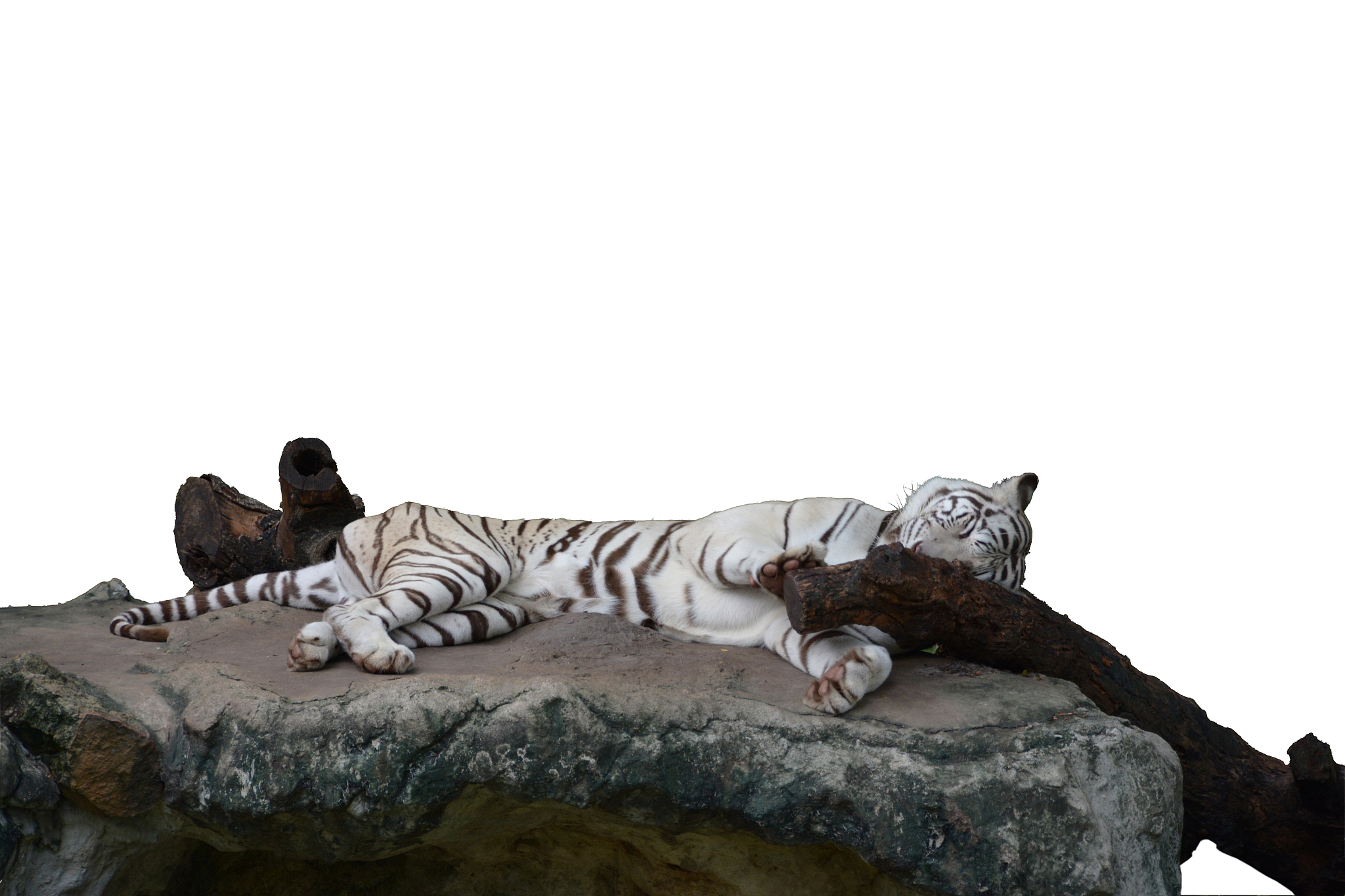 课后喉糖：甜蜜陪伴，让生活更美好