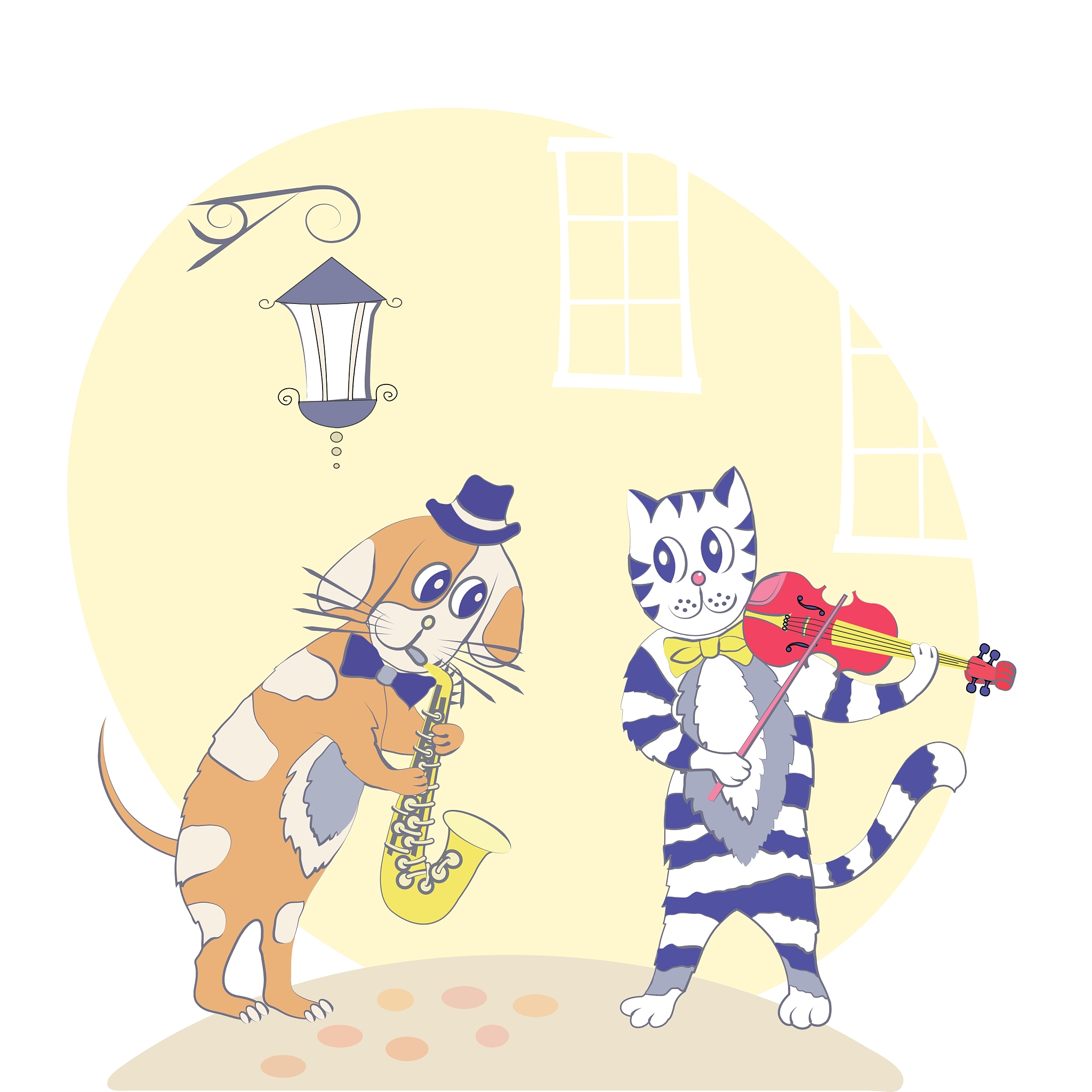 抖音上以猫为人公拍摄剧情