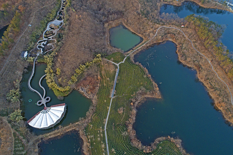 信阳会计档案扫描公司-数字化管理-提高效率-安全保密