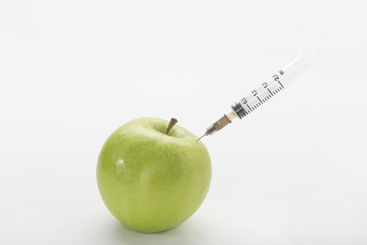 TraesCS1A02G331600 这个小麦基因的研究进展