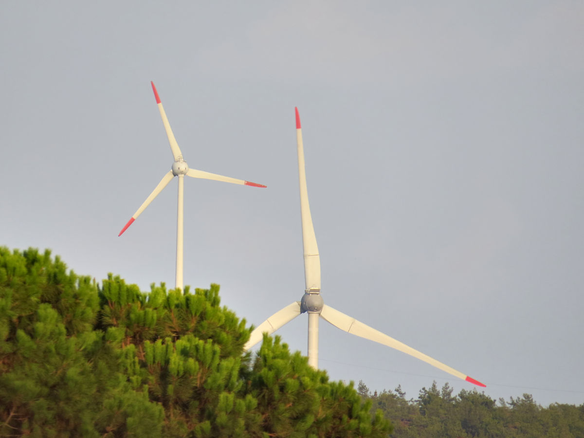 写份1000次的演讲稿主题健康新时代共筑新未来