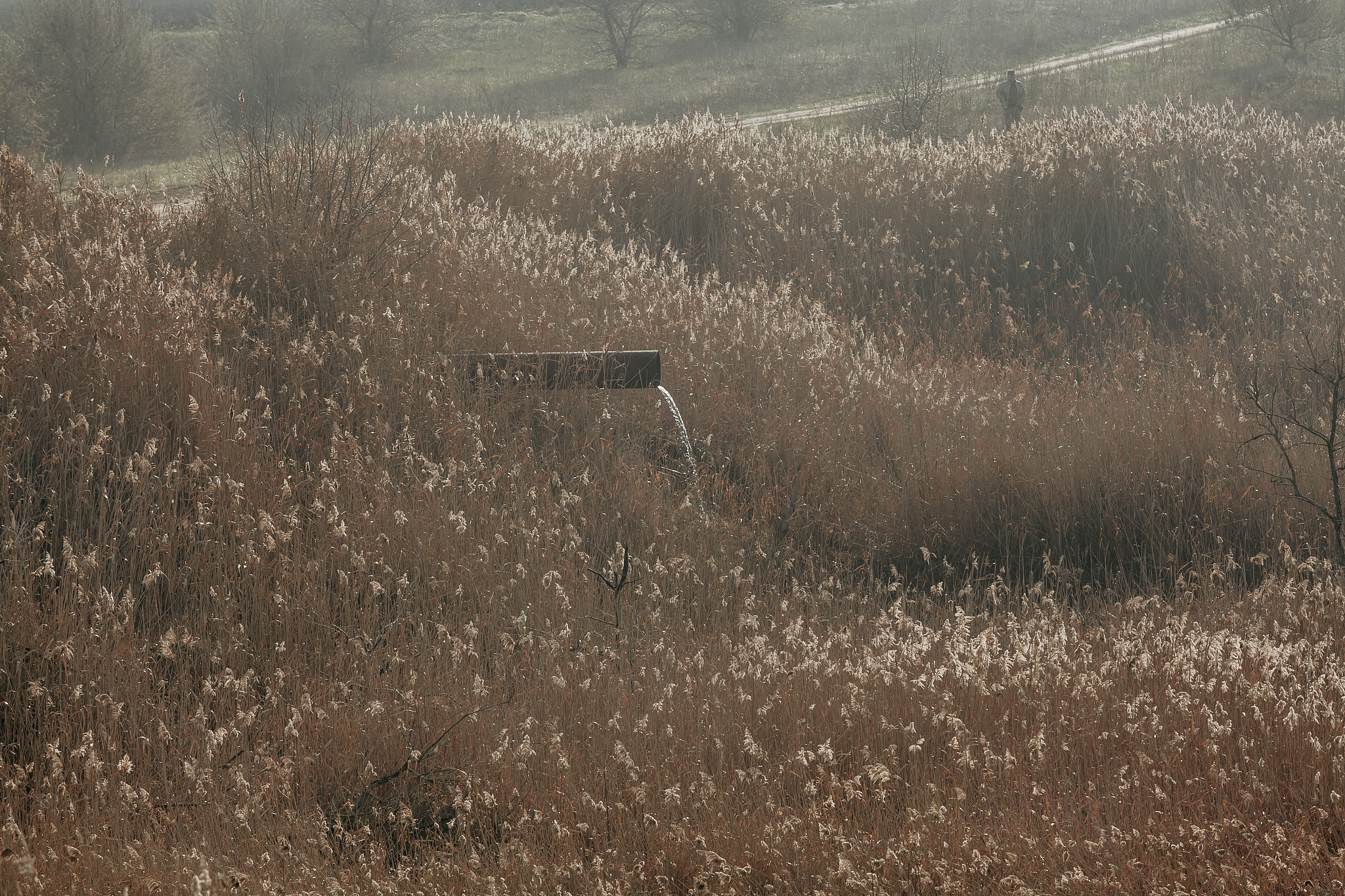 曲靖农业学校2019年五年制重点特色招生专业 | 农业人才培养新选择