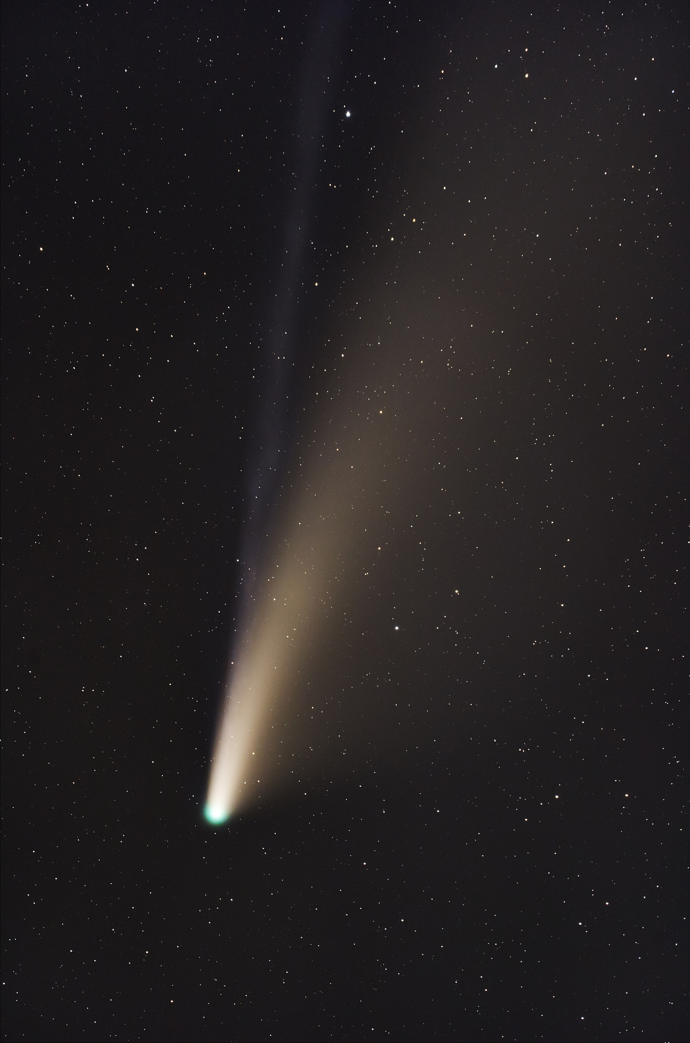 neowise comet seen from northern hemisphere