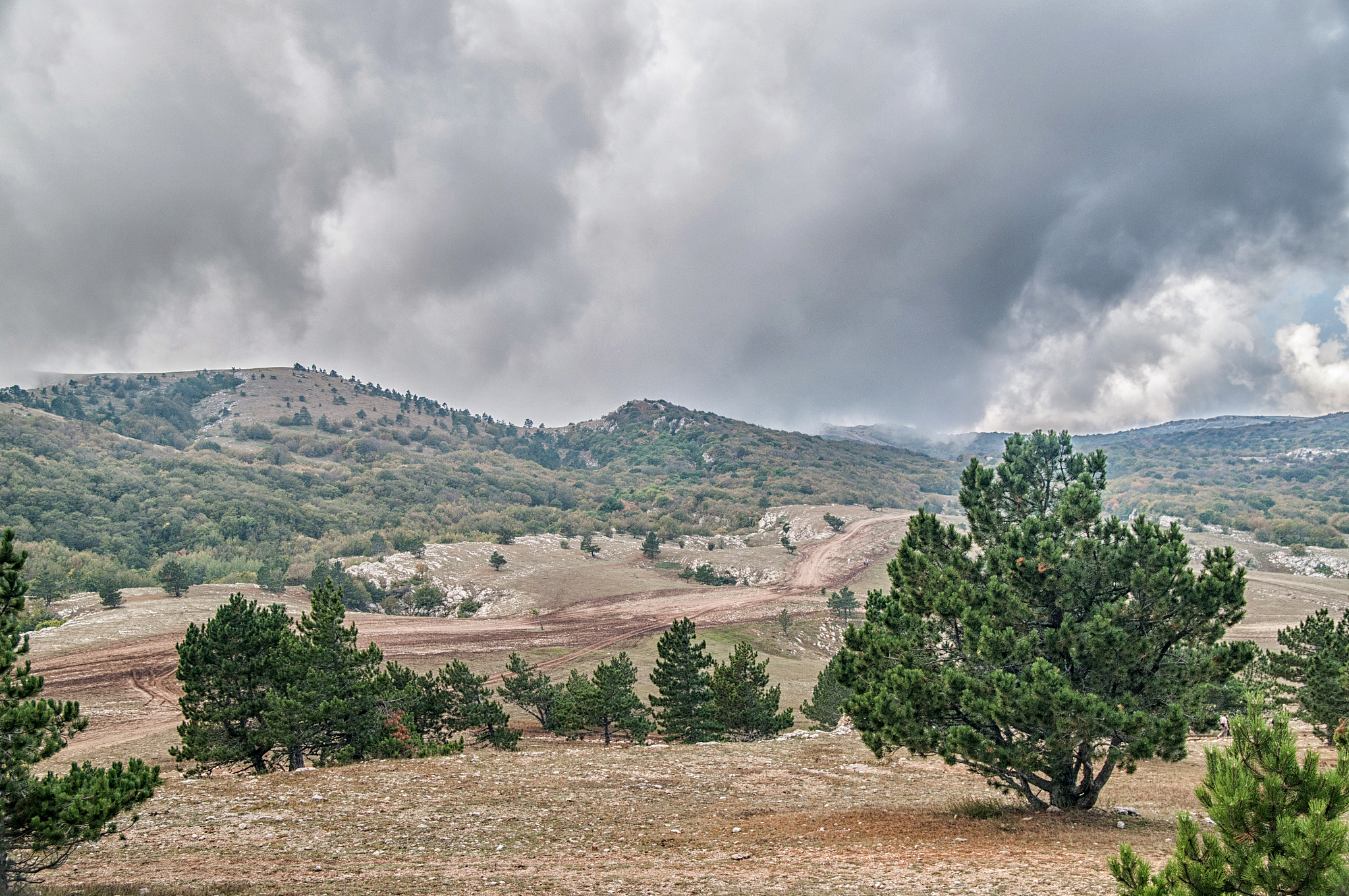 贵阳中专学校旅游管理专业招生简章