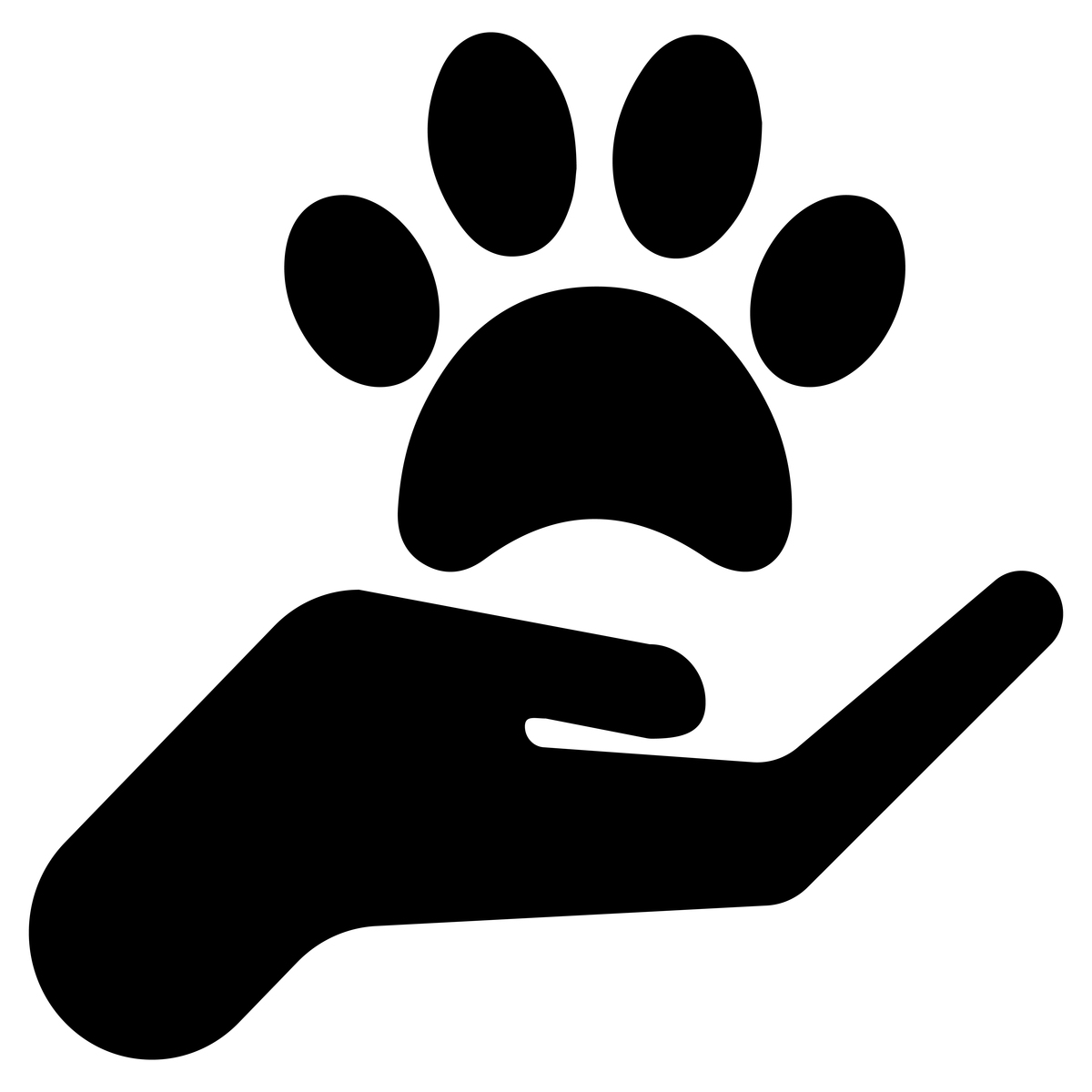 爱宠公众号的第一篇文章写什么比较好