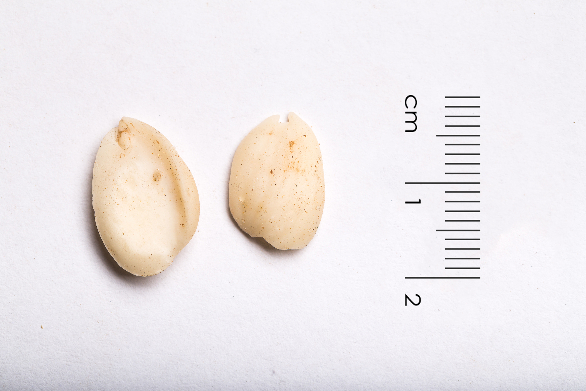 文献研究法：方法介绍及步骤详解