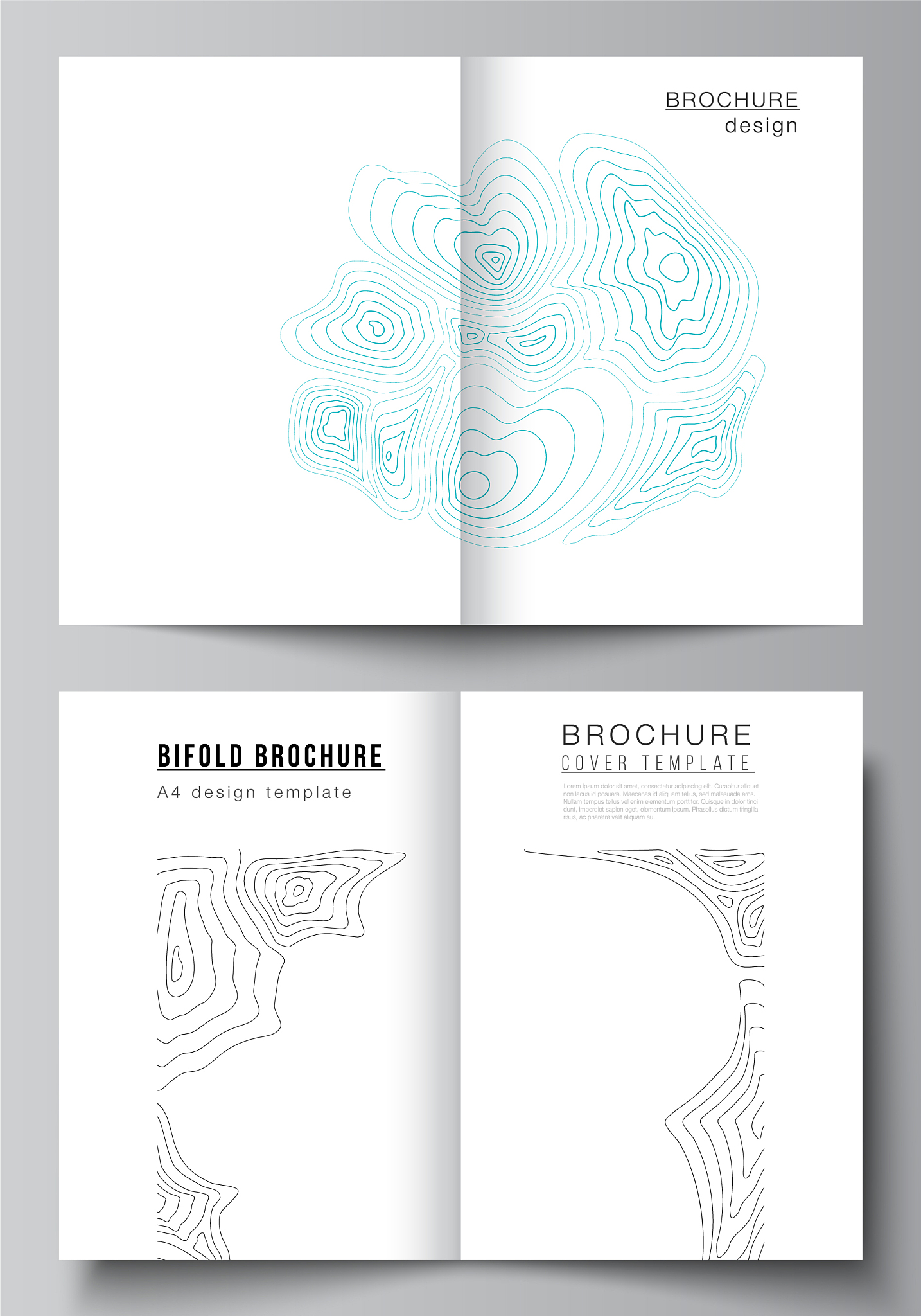 the layout two a4 format modern cover