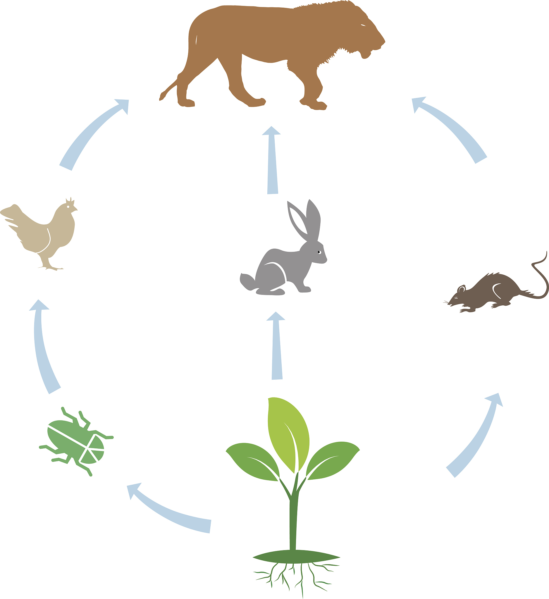 EVOLUTION 期刊：涵盖进化生物学研究的国际学术期刊