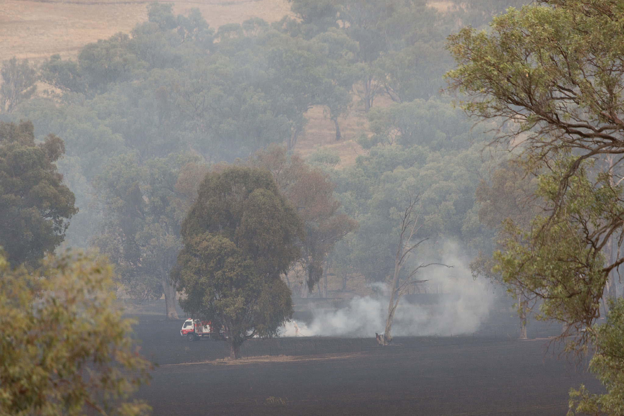 丛悲是什么意思_词语丛悲的意思