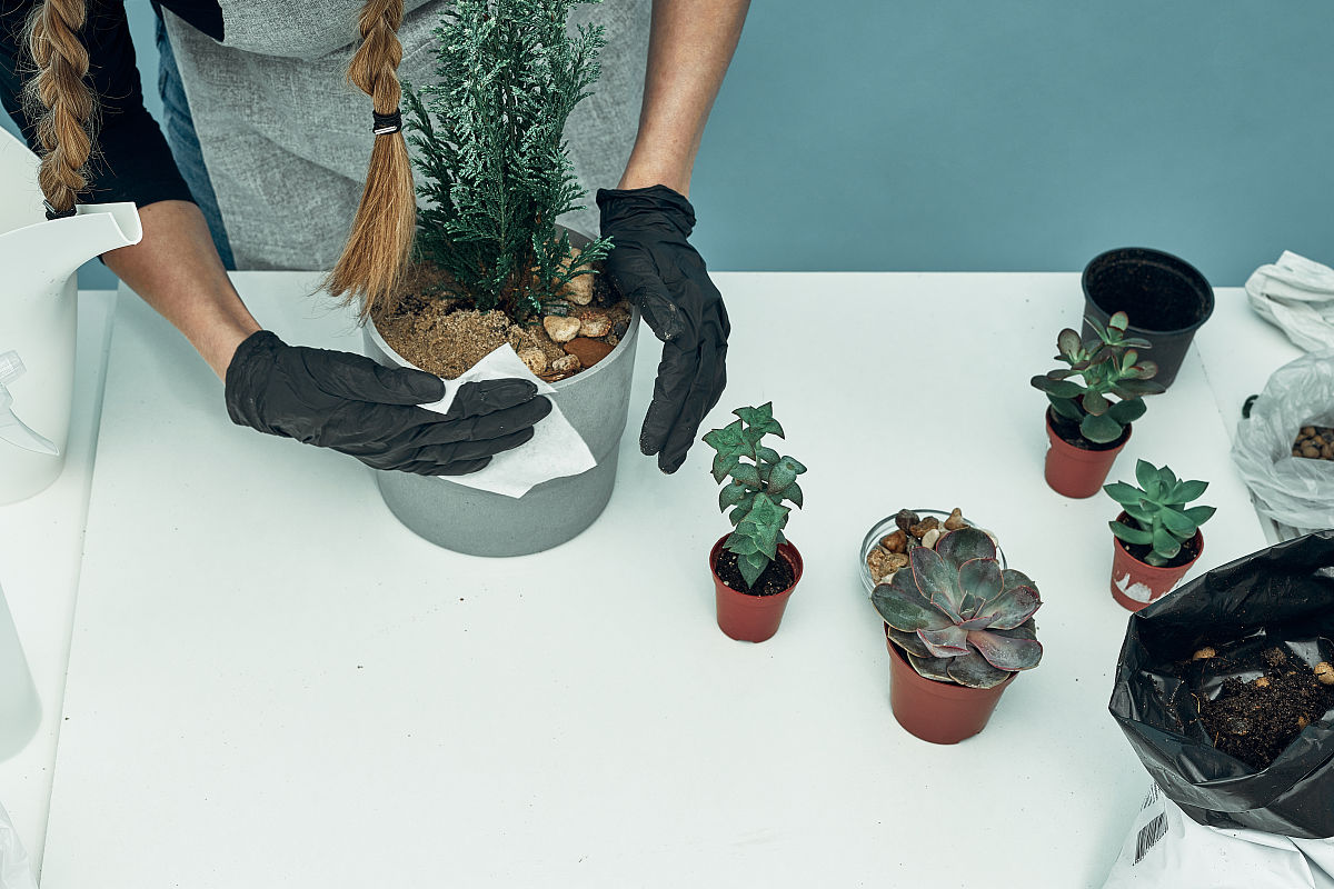 有效NPK需要土壤鲜样还是风干样