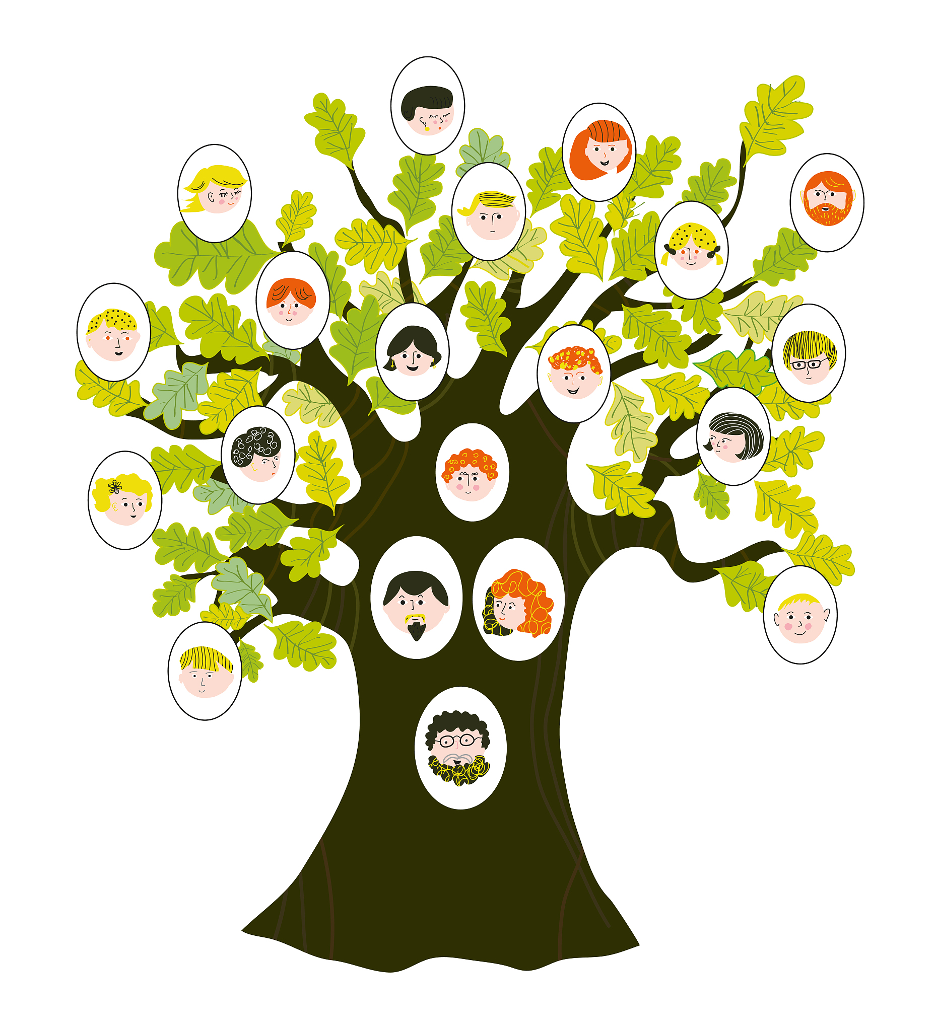 family tree with relatives portraits for generations. vector gra
