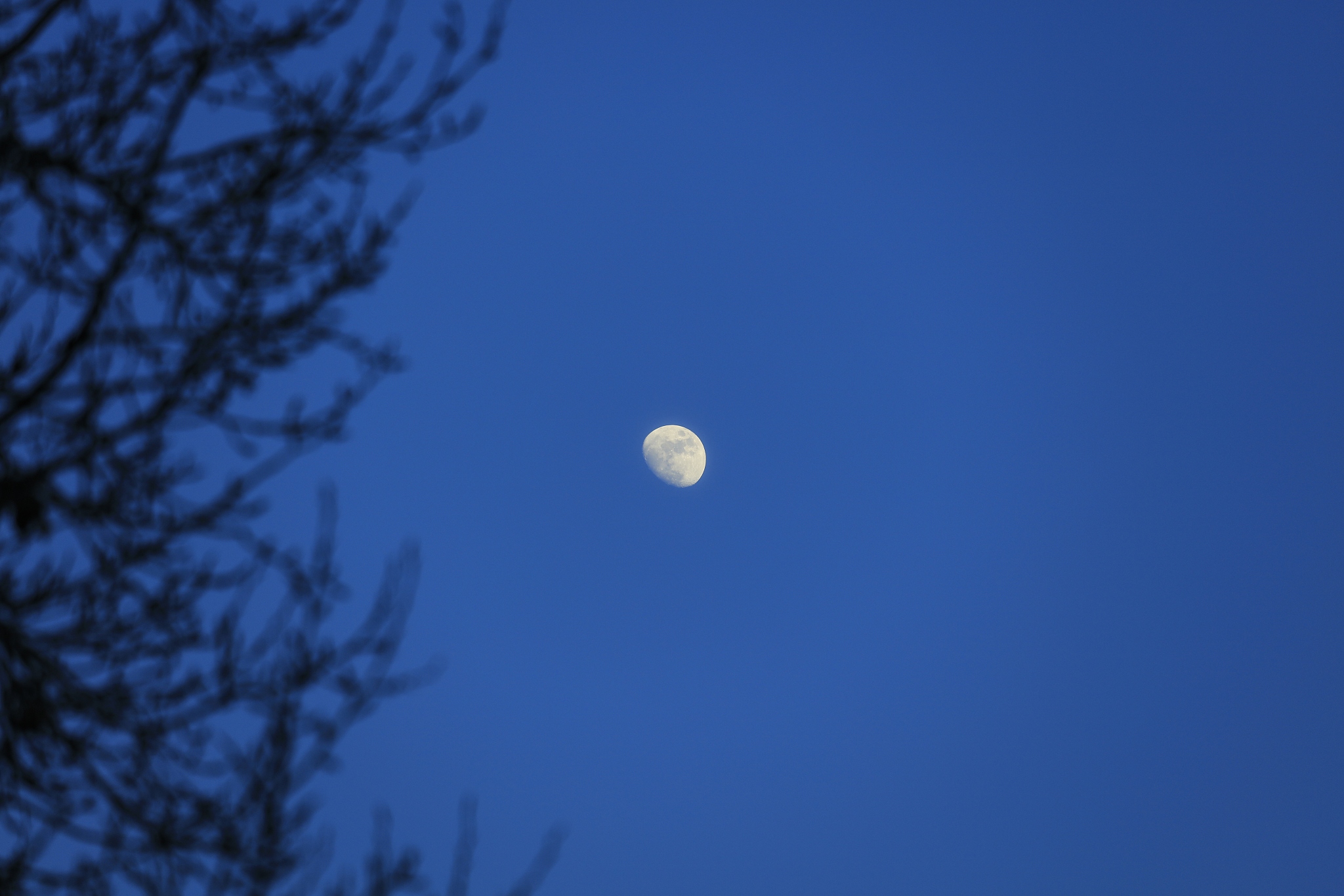 明月诗歌：赞美与思念的寄托