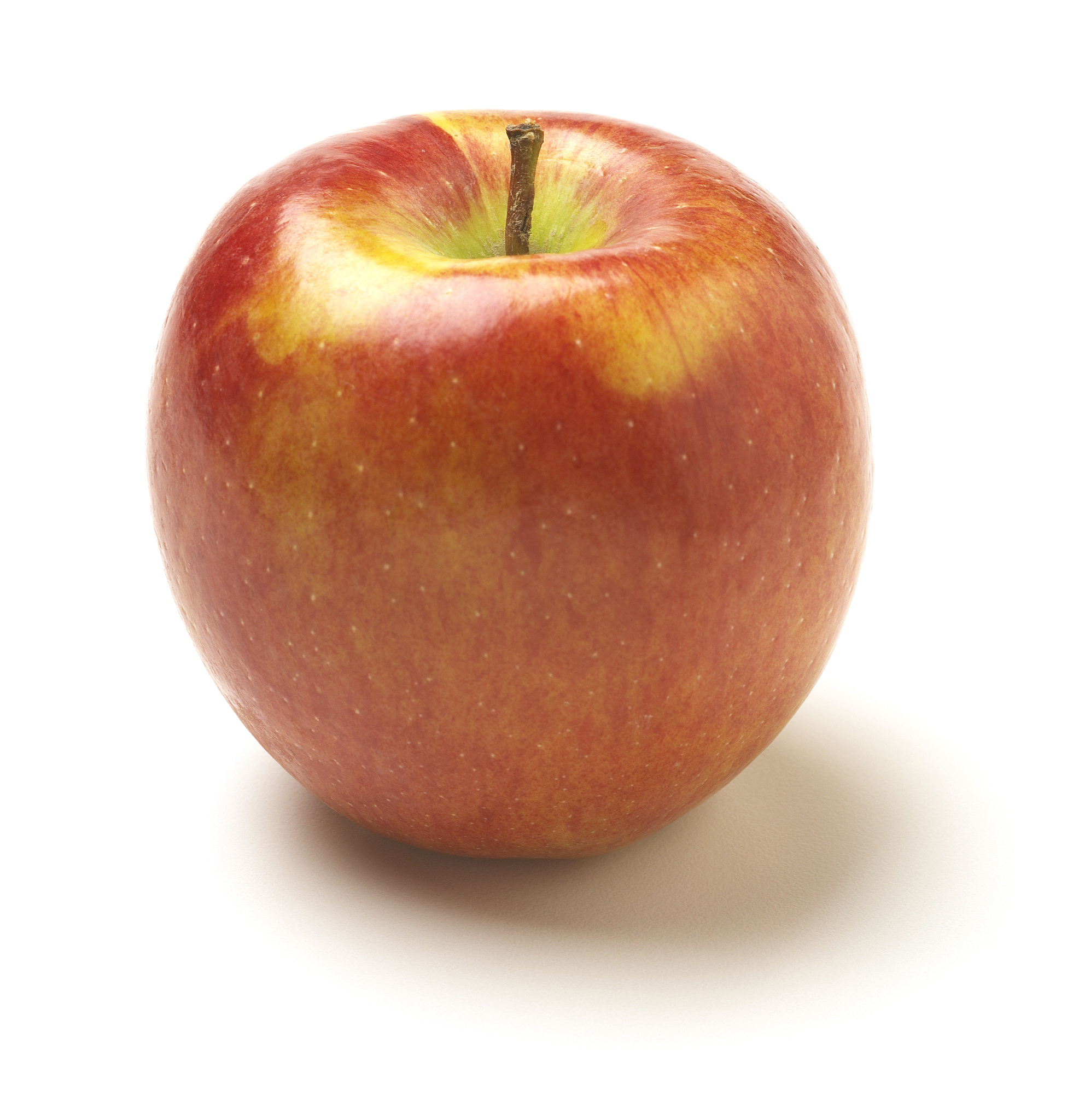 Pseudomonas putida PG-9: Boosting Apple Yield and Quality