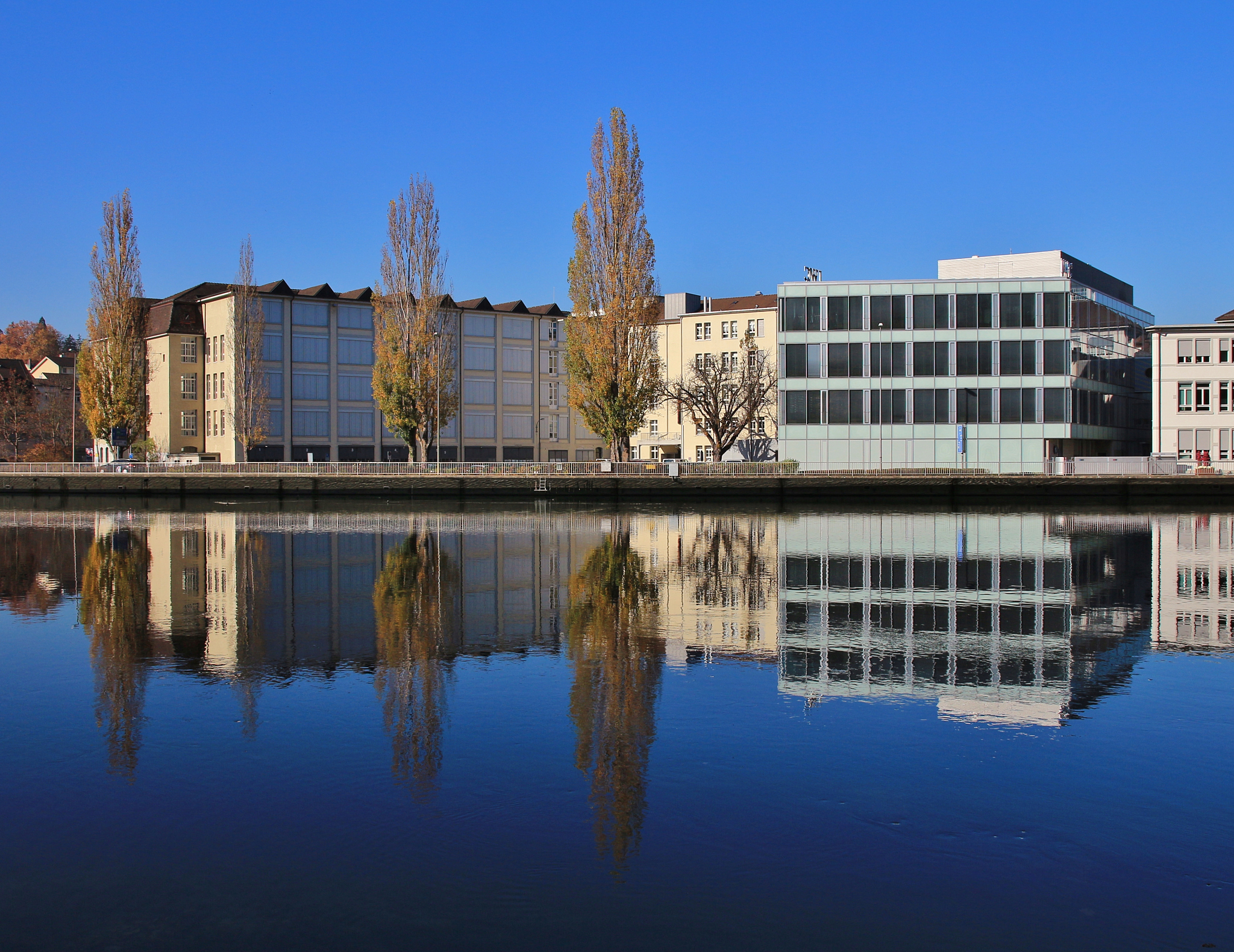 autumn scene at the river rhine in schaffhausen