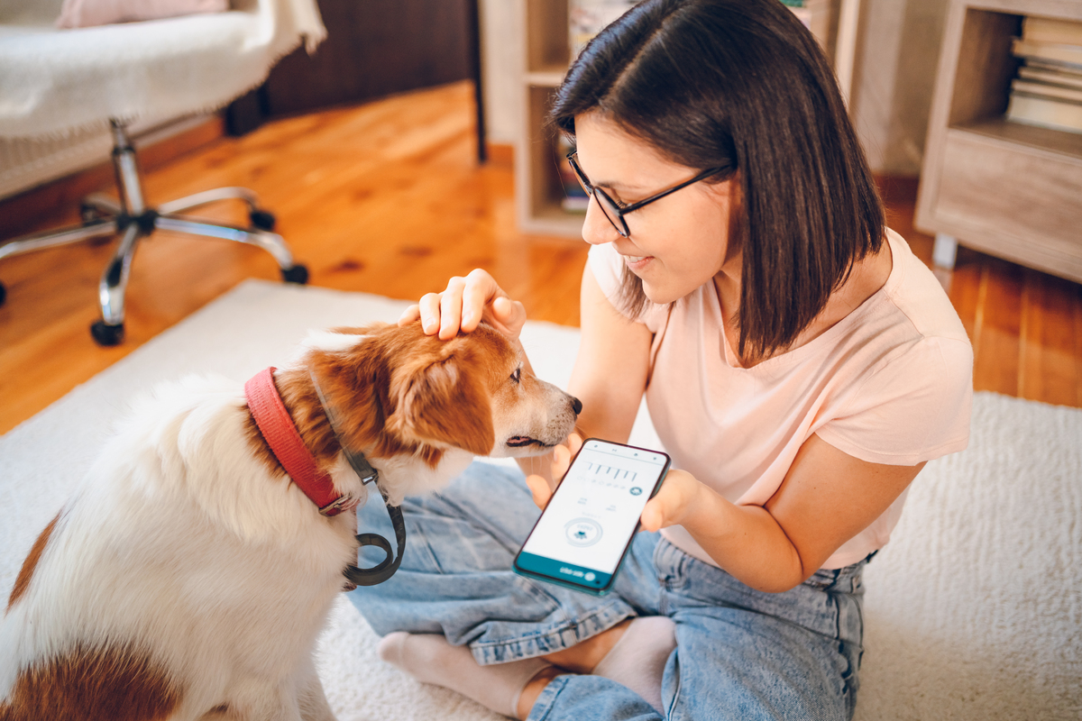 以手机的电子宠物能成为精神寄托吗？为题写一篇1200字文章重新编写标题