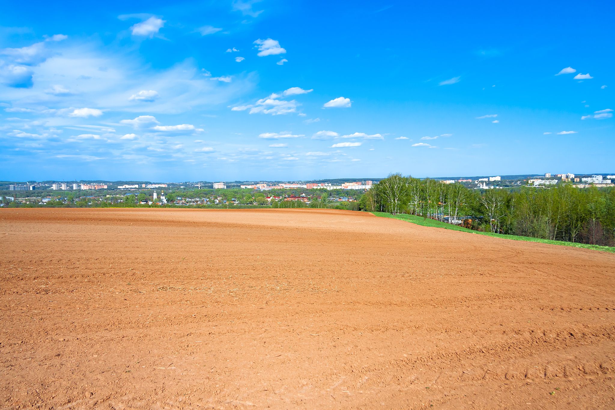 agricultural arable land field in the spring