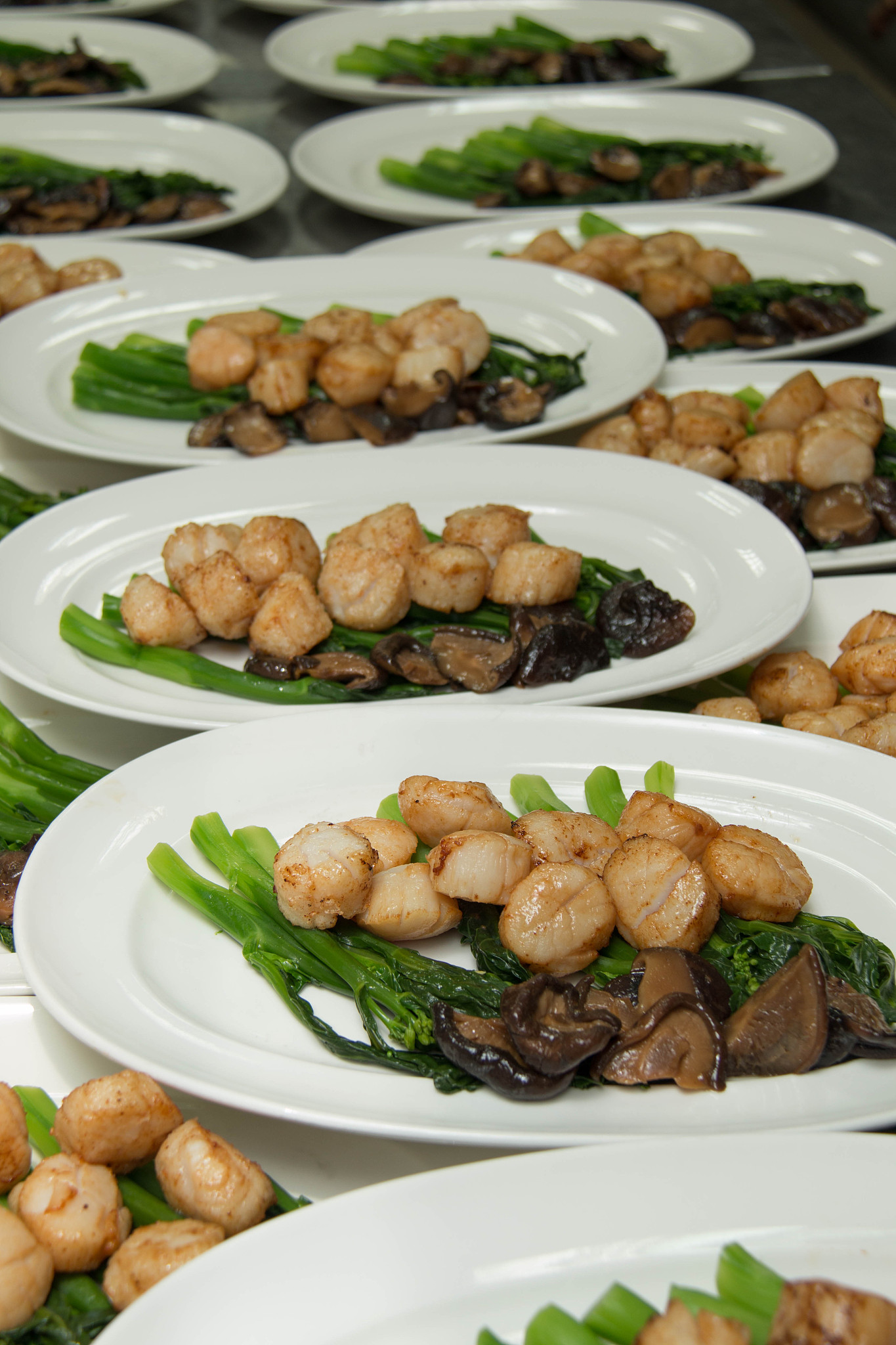 studio closeup of seared scallops, garnished with vegetables