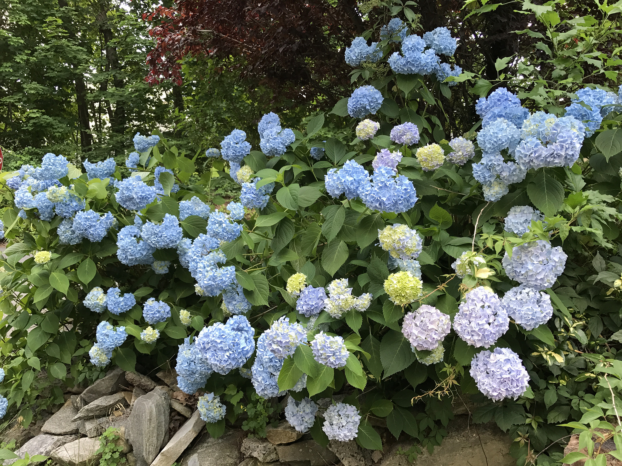 奶油色是什么颜色