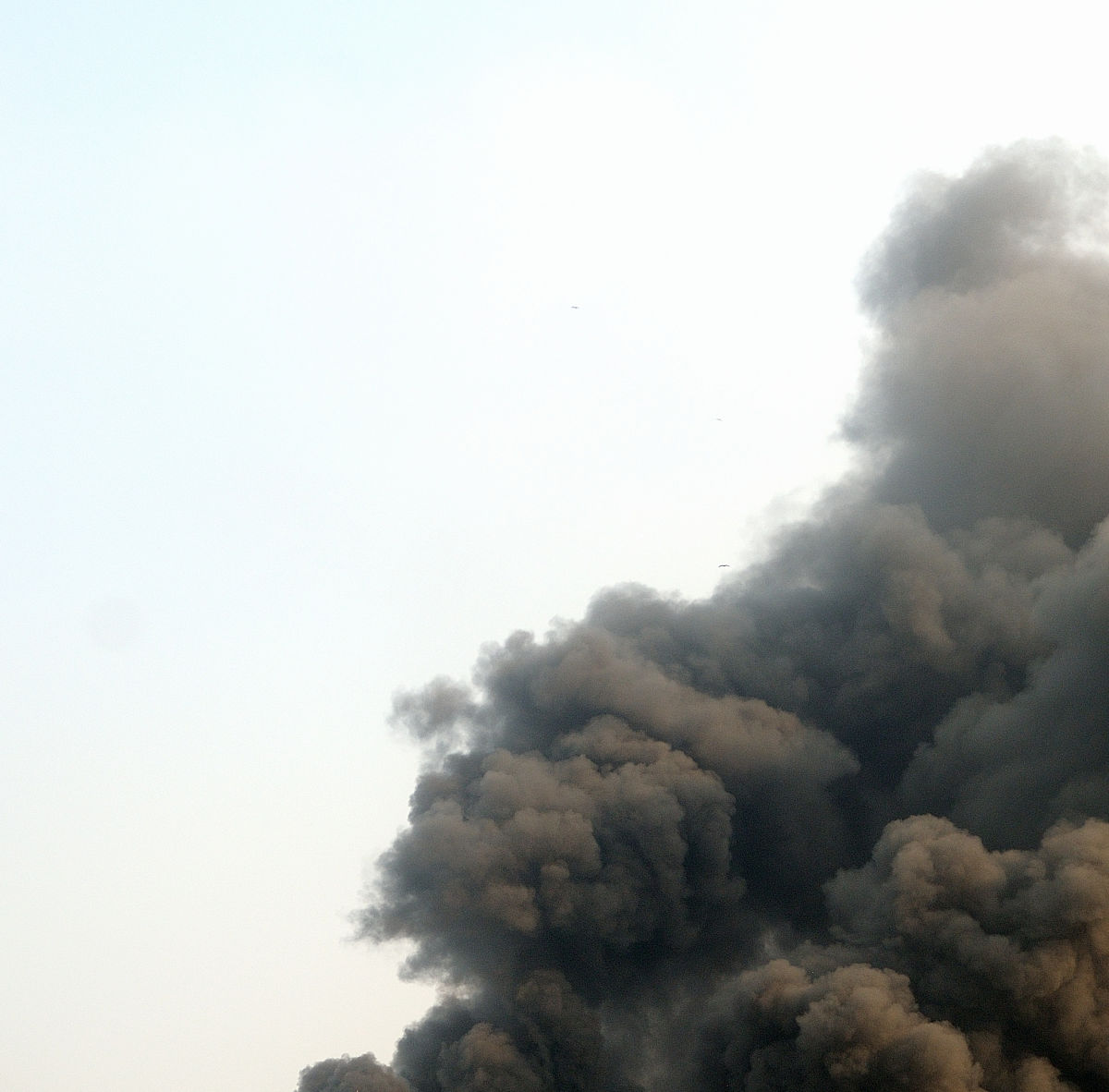 南洋烟为什么不给买了，