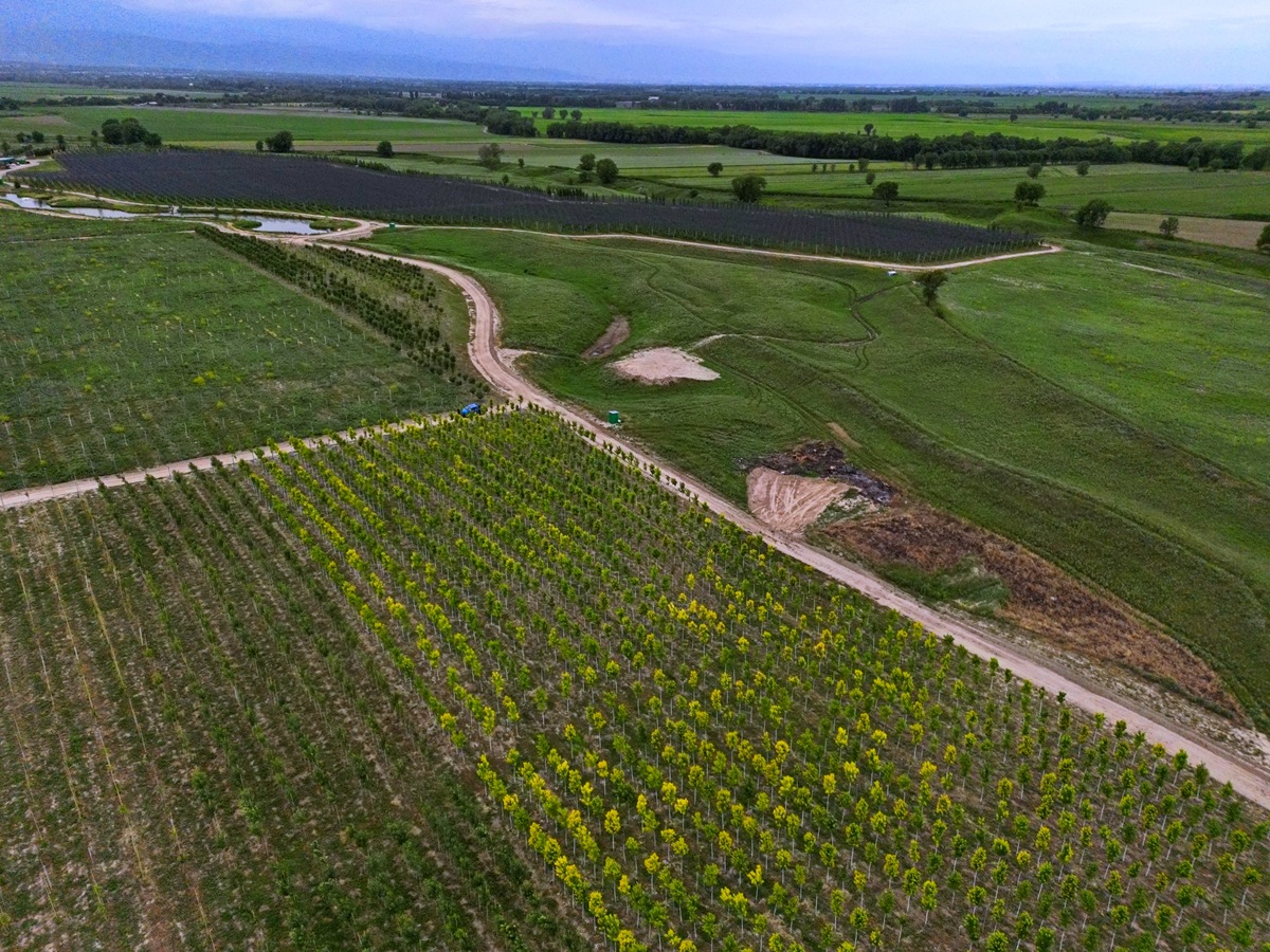 兰州新区土壤和植被