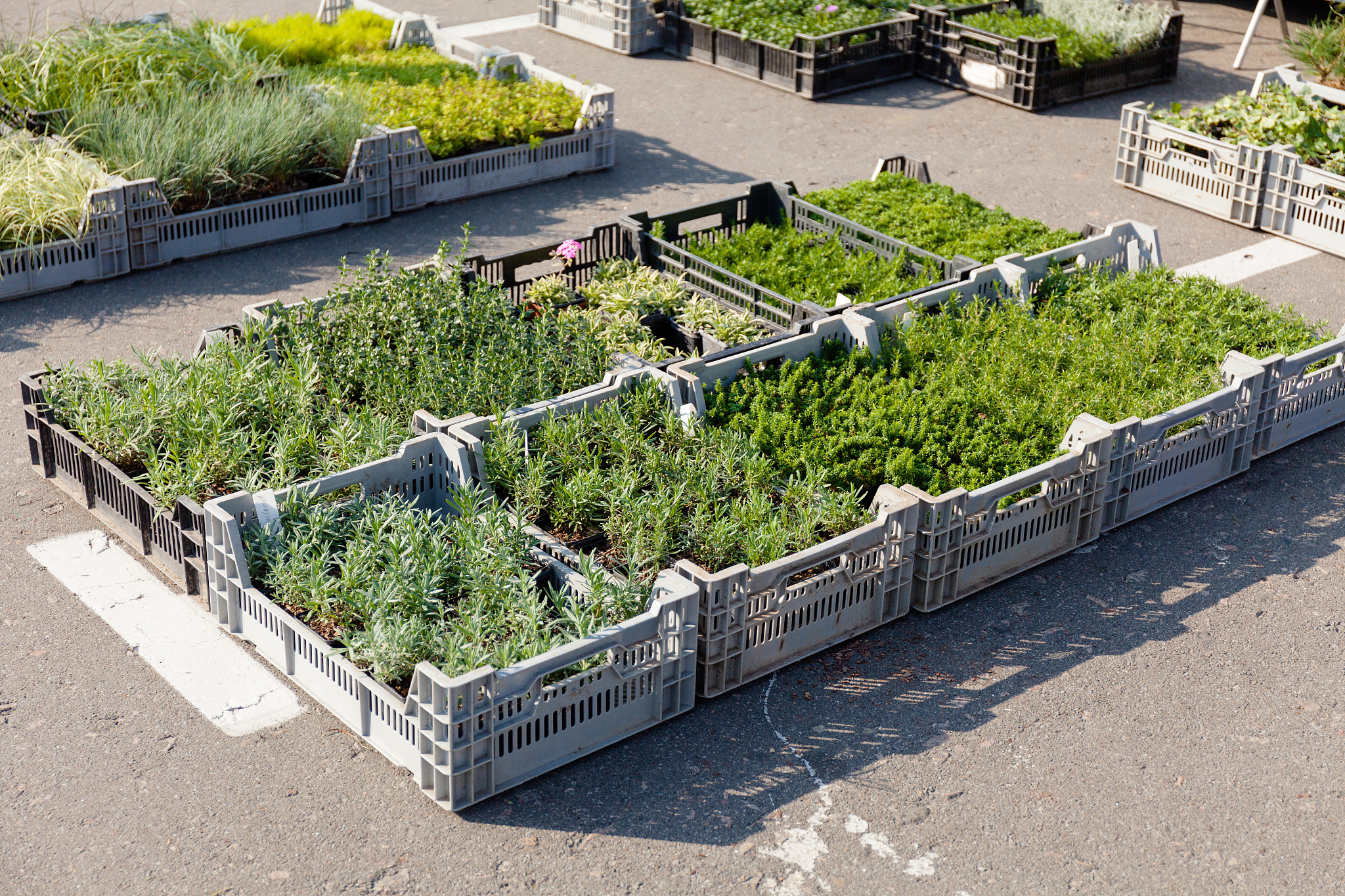 PLANTERS & RAISED BEDS 缩写成目录名