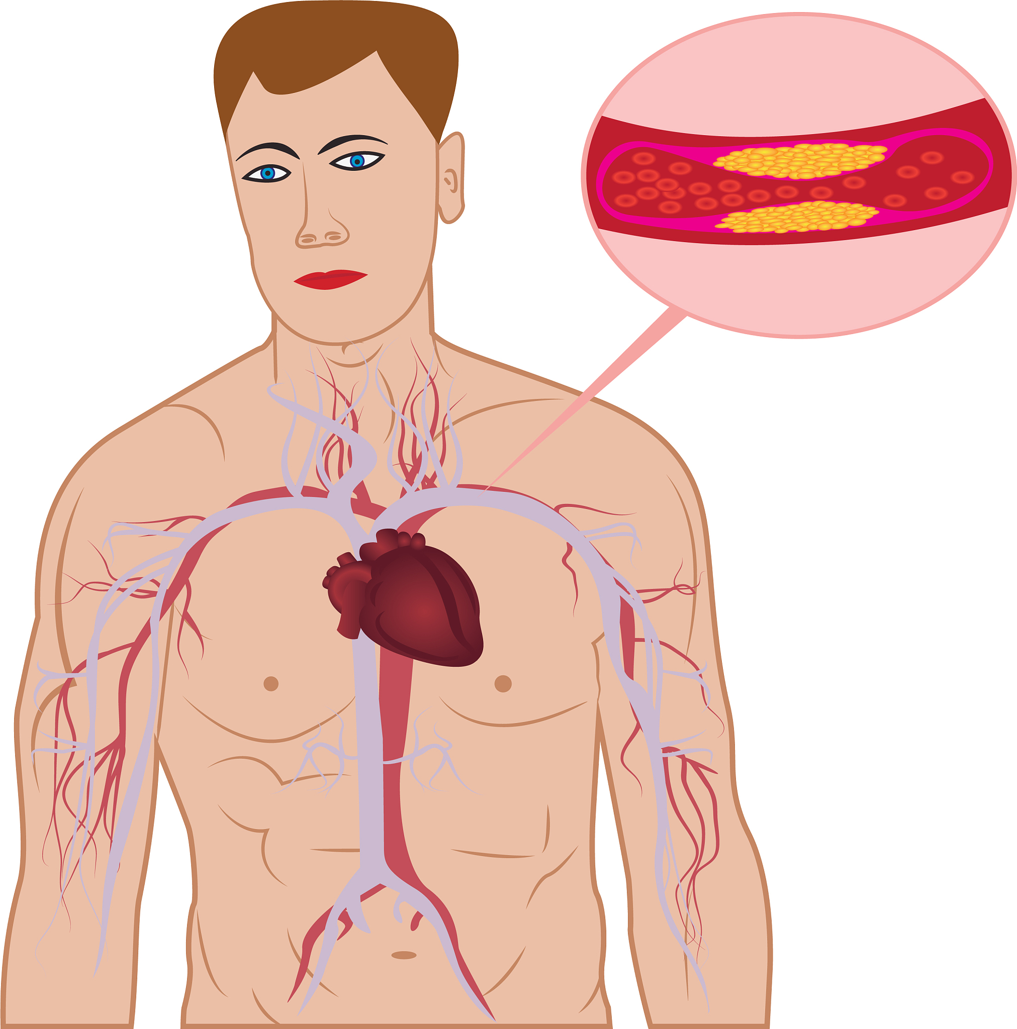 皖西当代职业中专学校2023年招生专业-怎么样