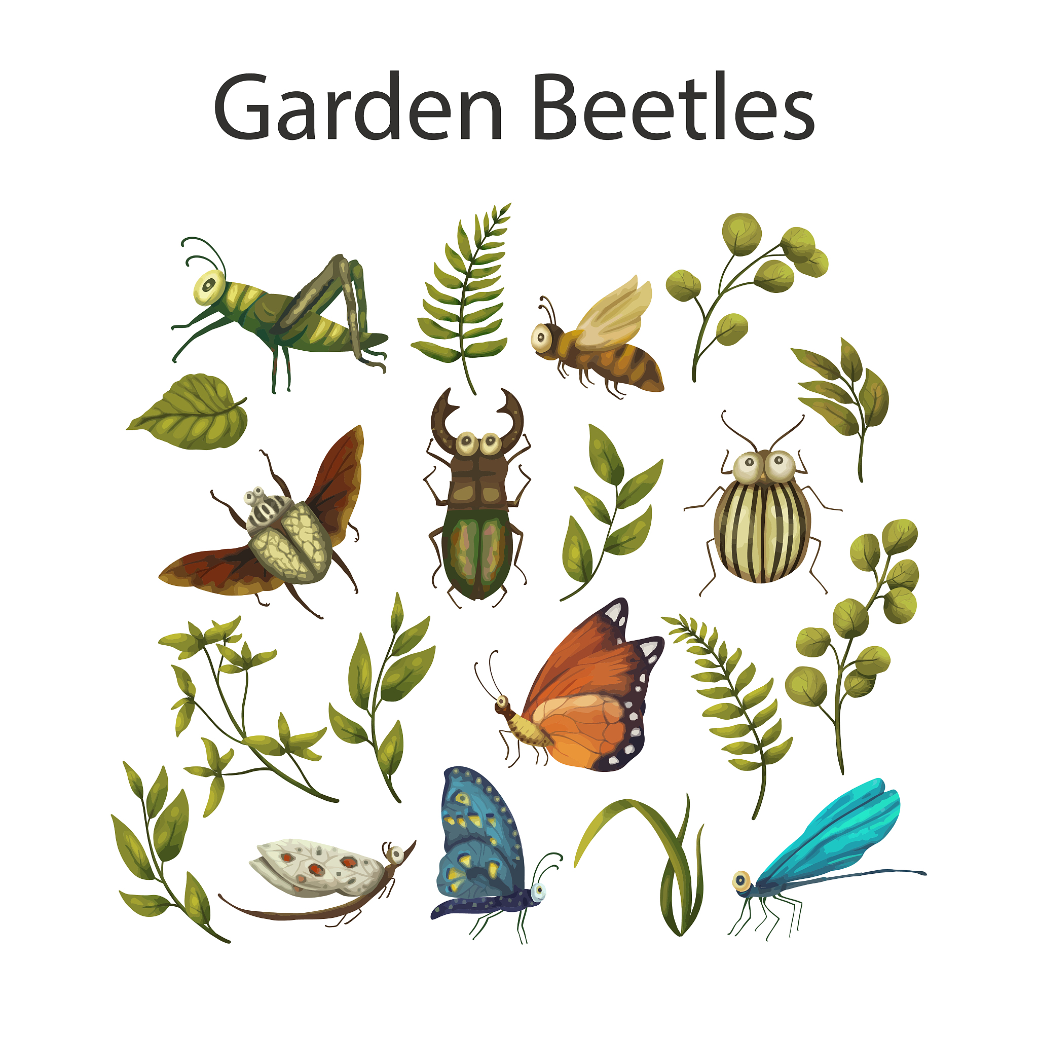 会飞的枯叶故事原文