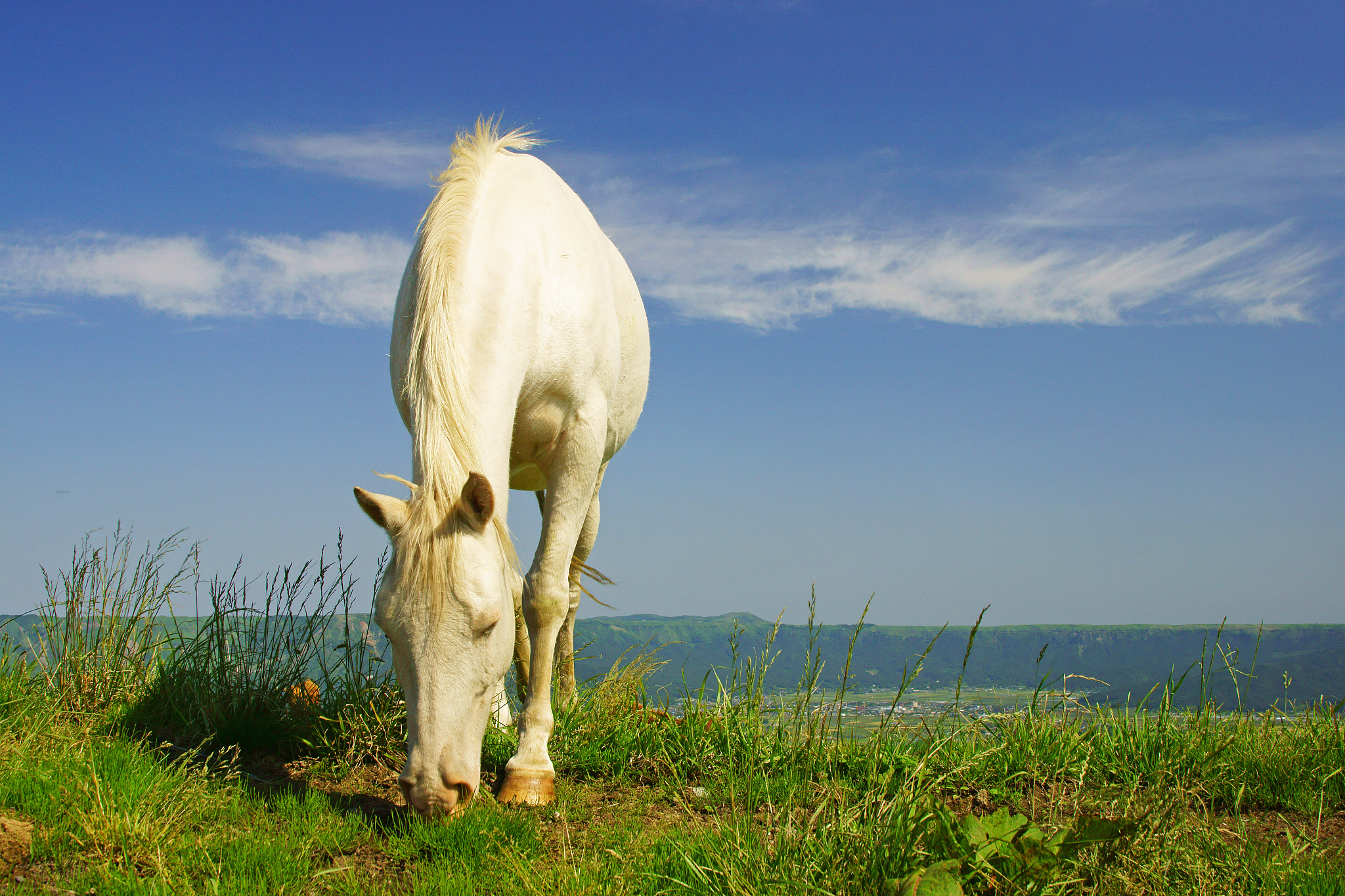 围绕关于国际经济问题的讨论谈谈自己对日本经济的认识并从实际出发结合自身谈谈自己在中日的发展中应该扮演的角色字数在2000字左右