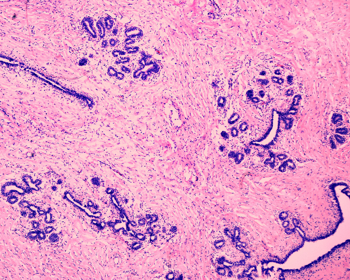 教师教学知识评价指标：不包括哪些？