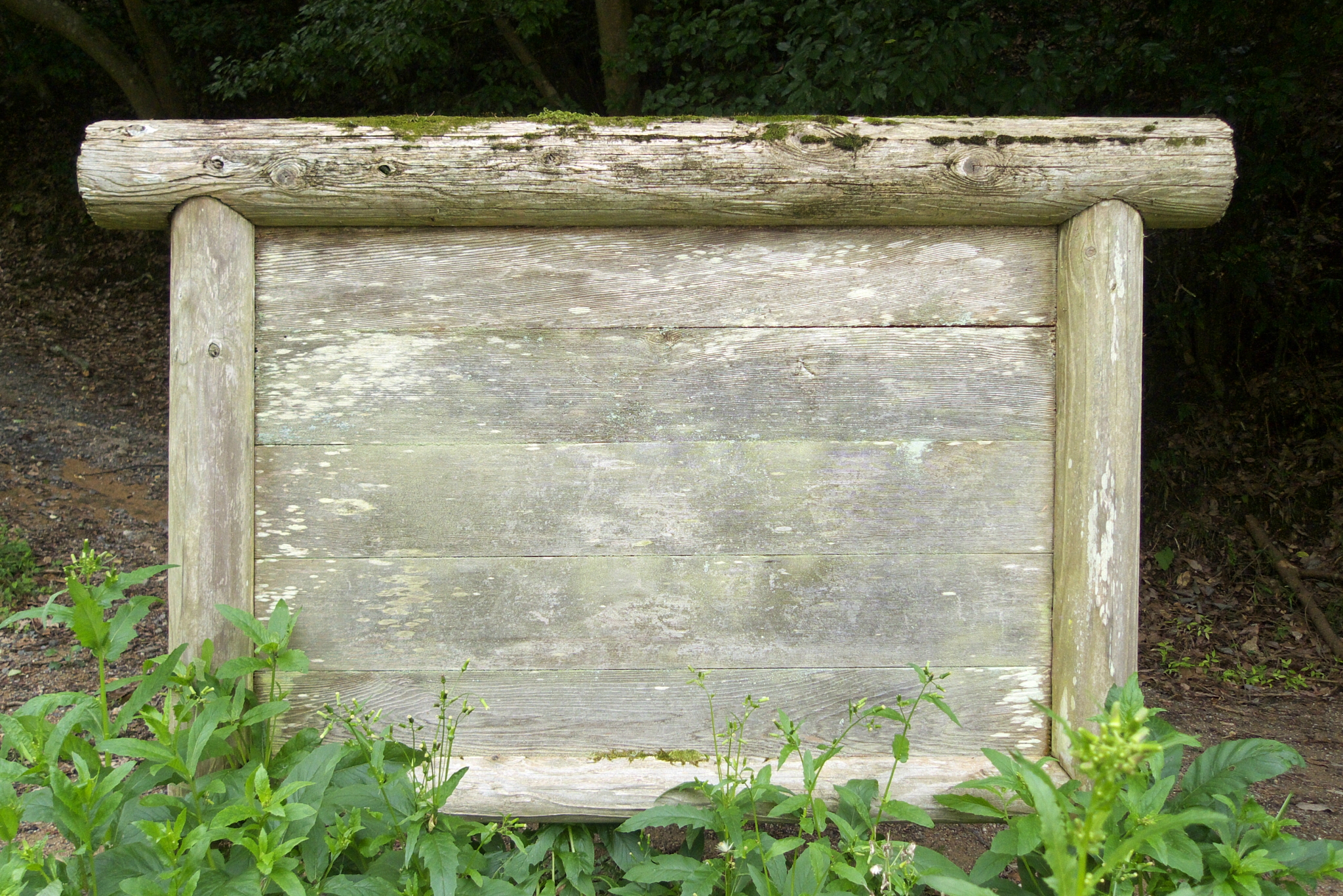 bulletin board in the wood
