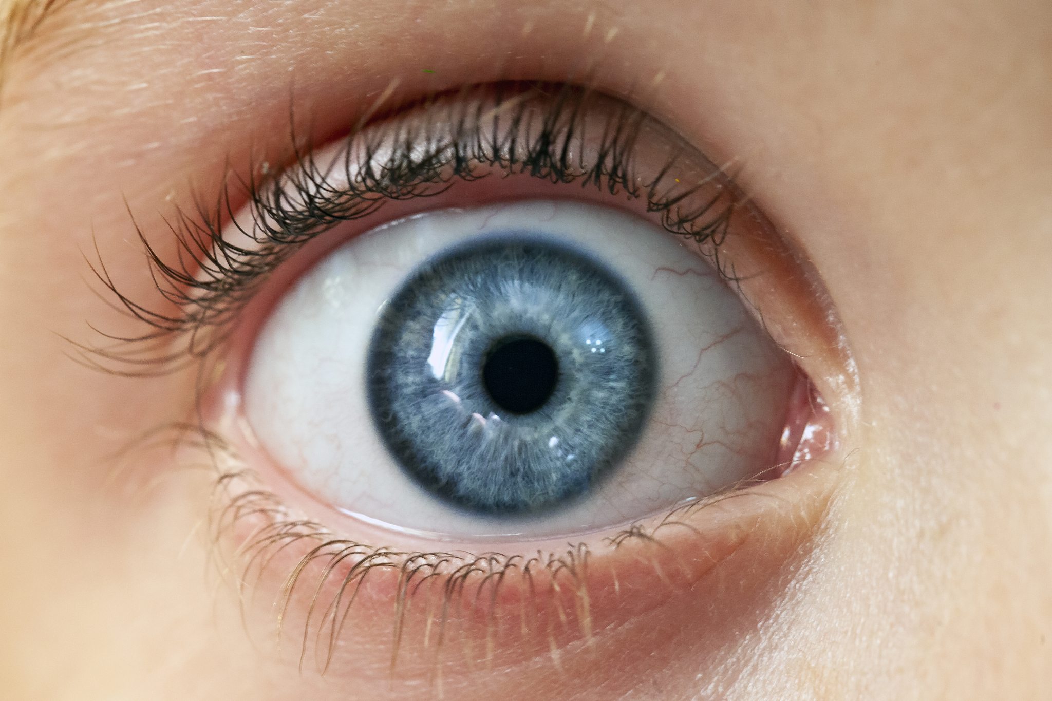 close-up of human eye