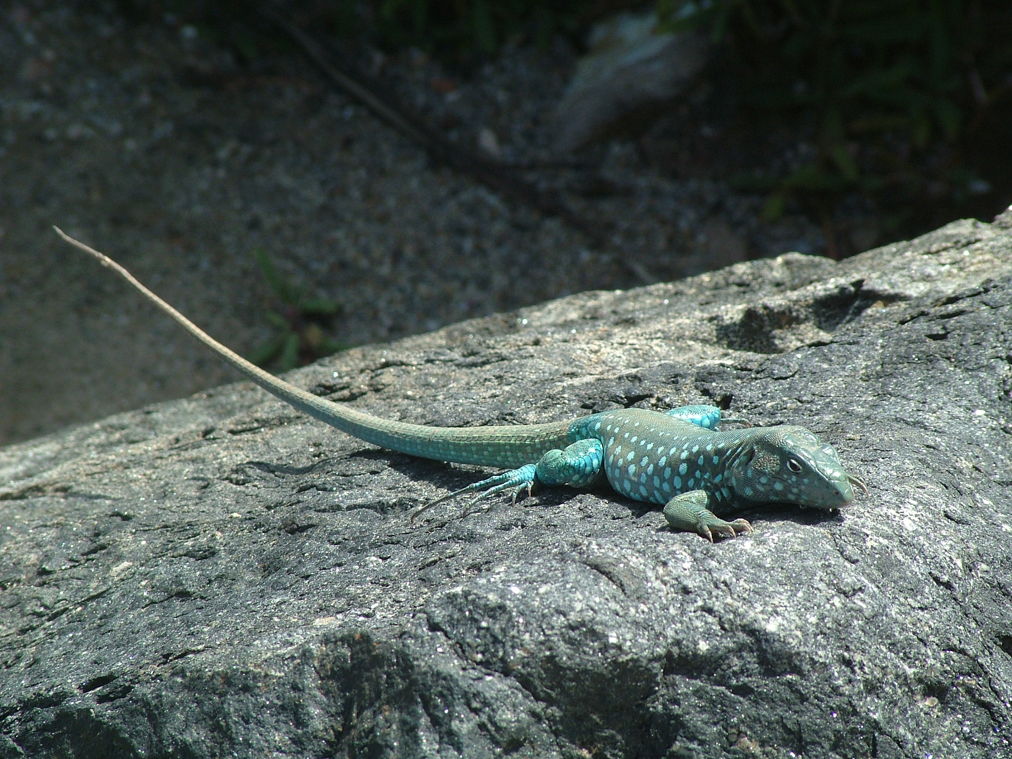 Tomographic SAR Development Process: From Data Acquisition to 3D Reconstruction