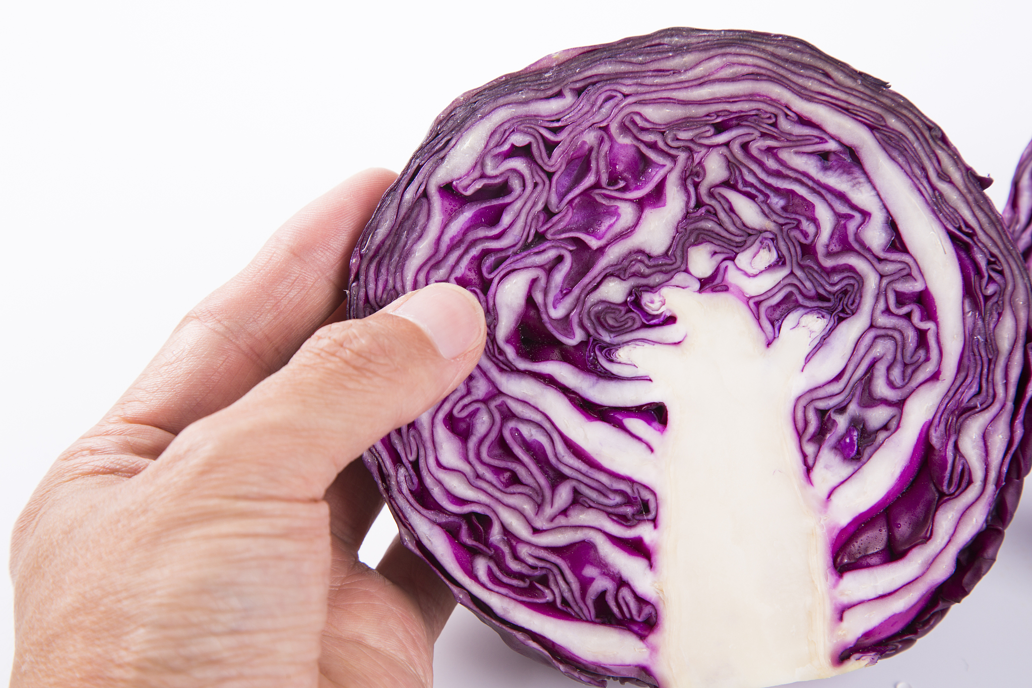 紫甘蓝和黄瓜一起吃好吗？营养美味两不误！