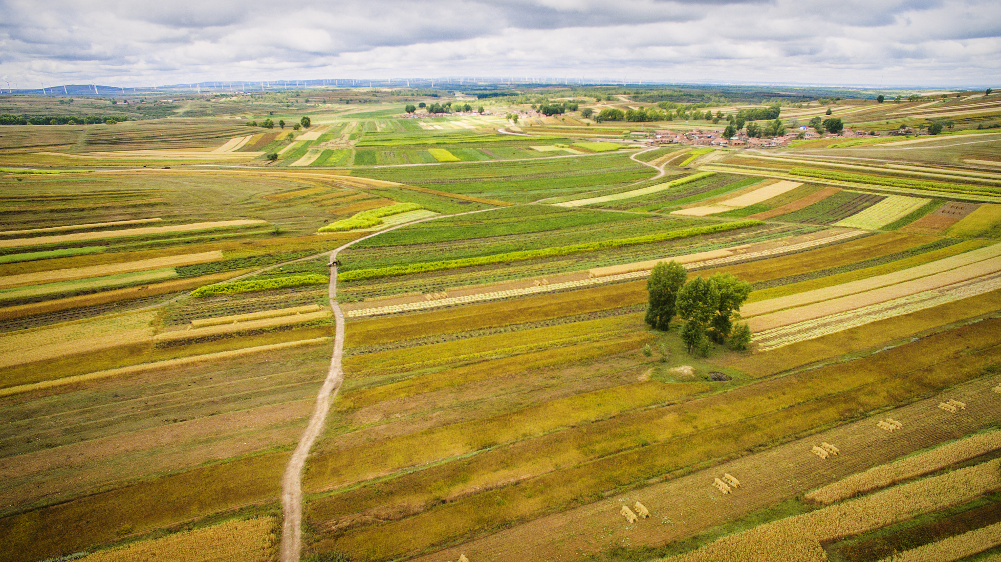 farm land