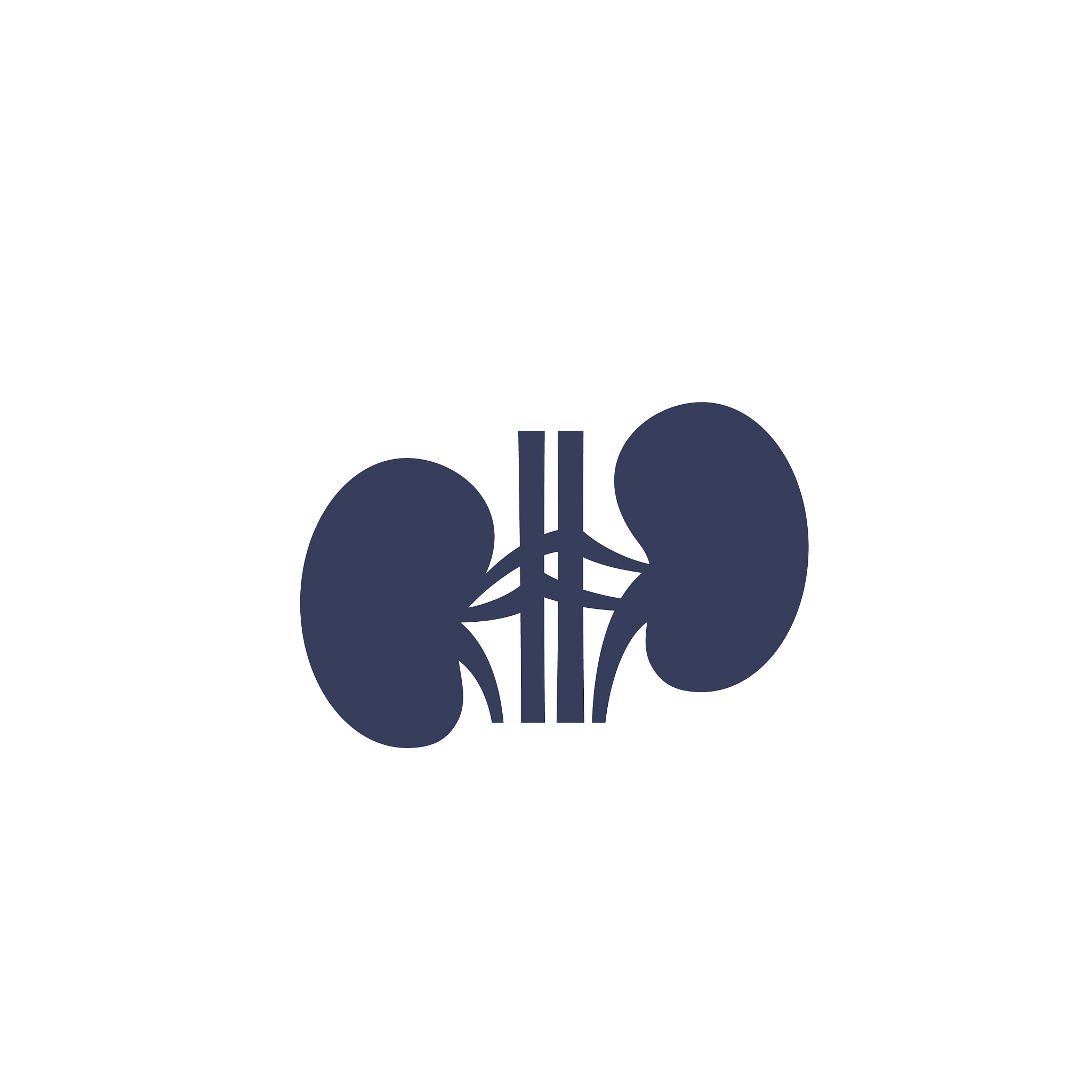 kidneys icon